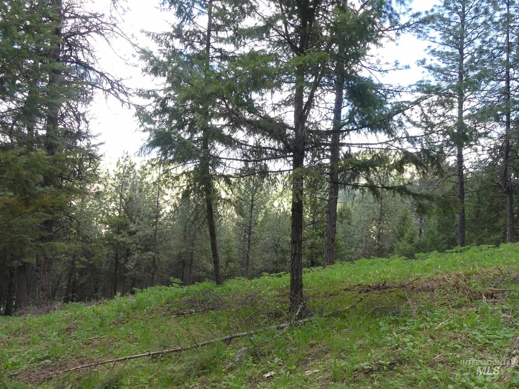 22743 Old Melrose Grade, Peck, Idaho 83545, Land For Sale, Price $200,000,MLS 98915395