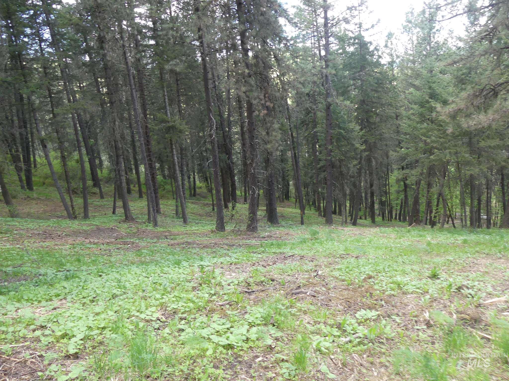 22743 Old Melrose Grade, Peck, Idaho 83545, Land For Sale, Price $200,000,MLS 98915395