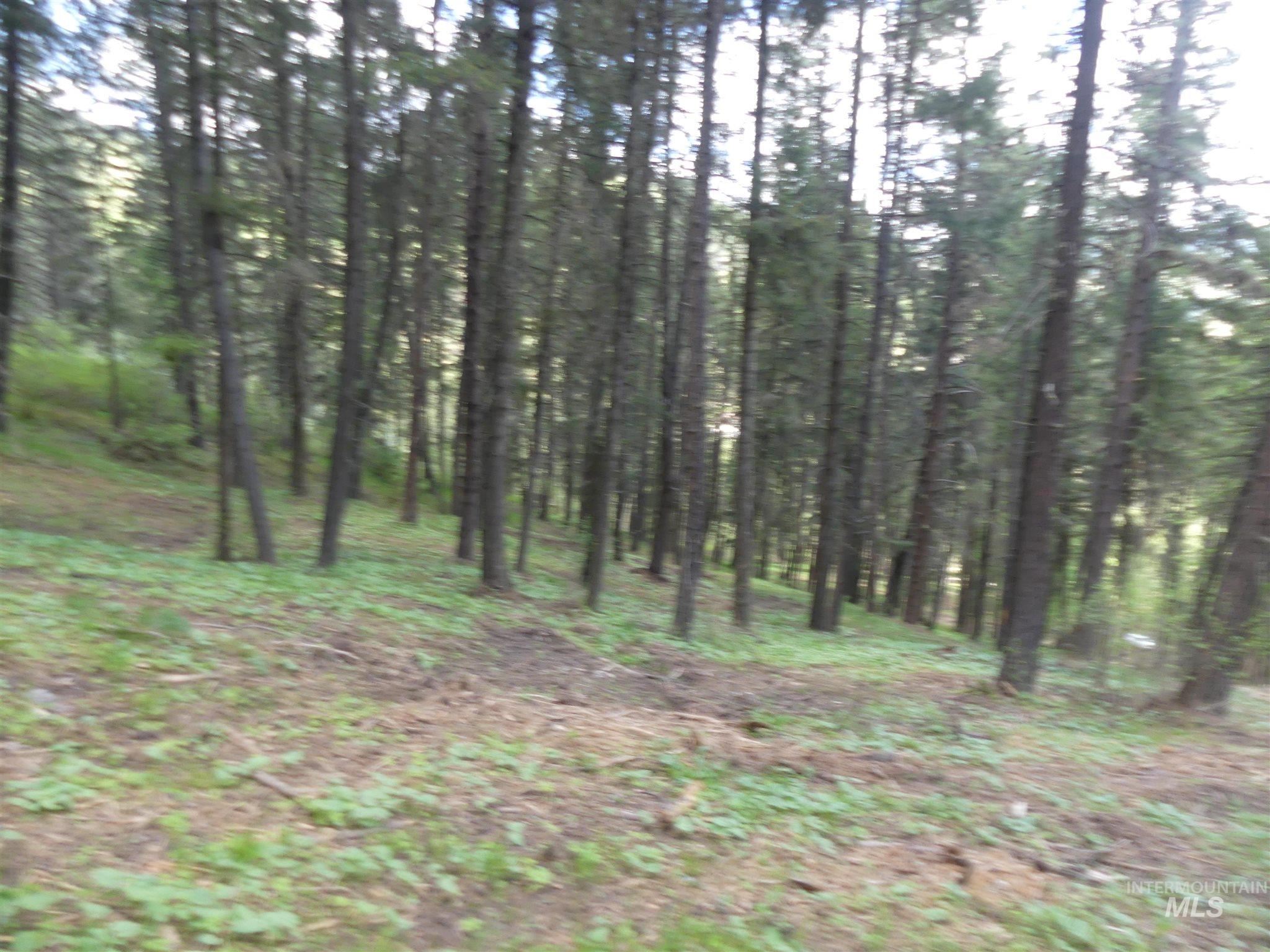 22743 Old Melrose Grade, Peck, Idaho 83545, Land For Sale, Price $200,000,MLS 98915395