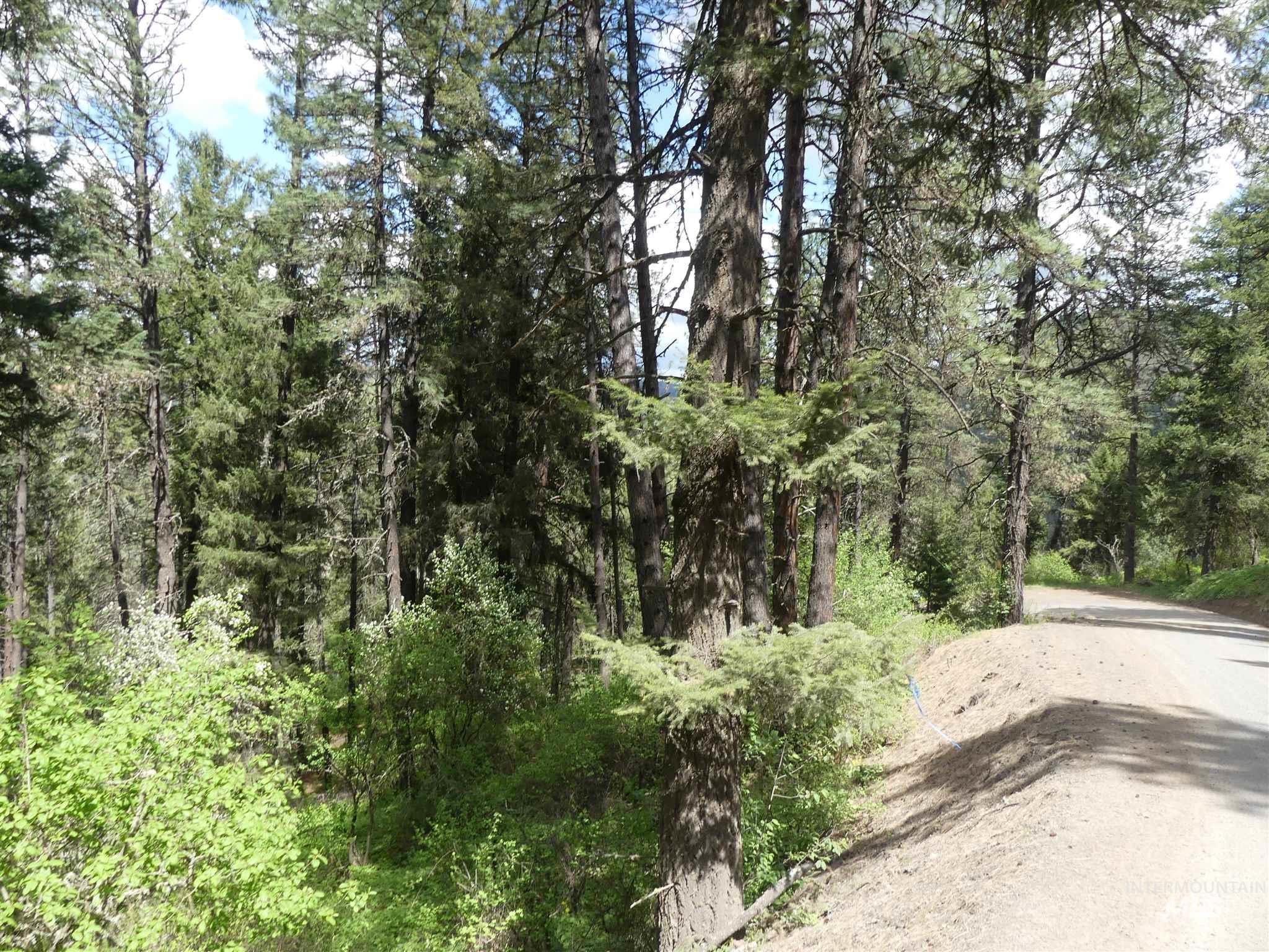 22743 Old Melrose Grade, Peck, Idaho 83545, Land For Sale, Price $200,000,MLS 98915395