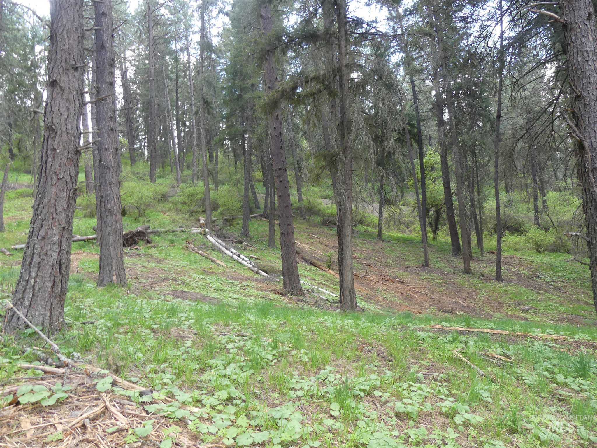 22743 Old Melrose Grade, Peck, Idaho 83545, Land For Sale, Price $200,000,MLS 98915395