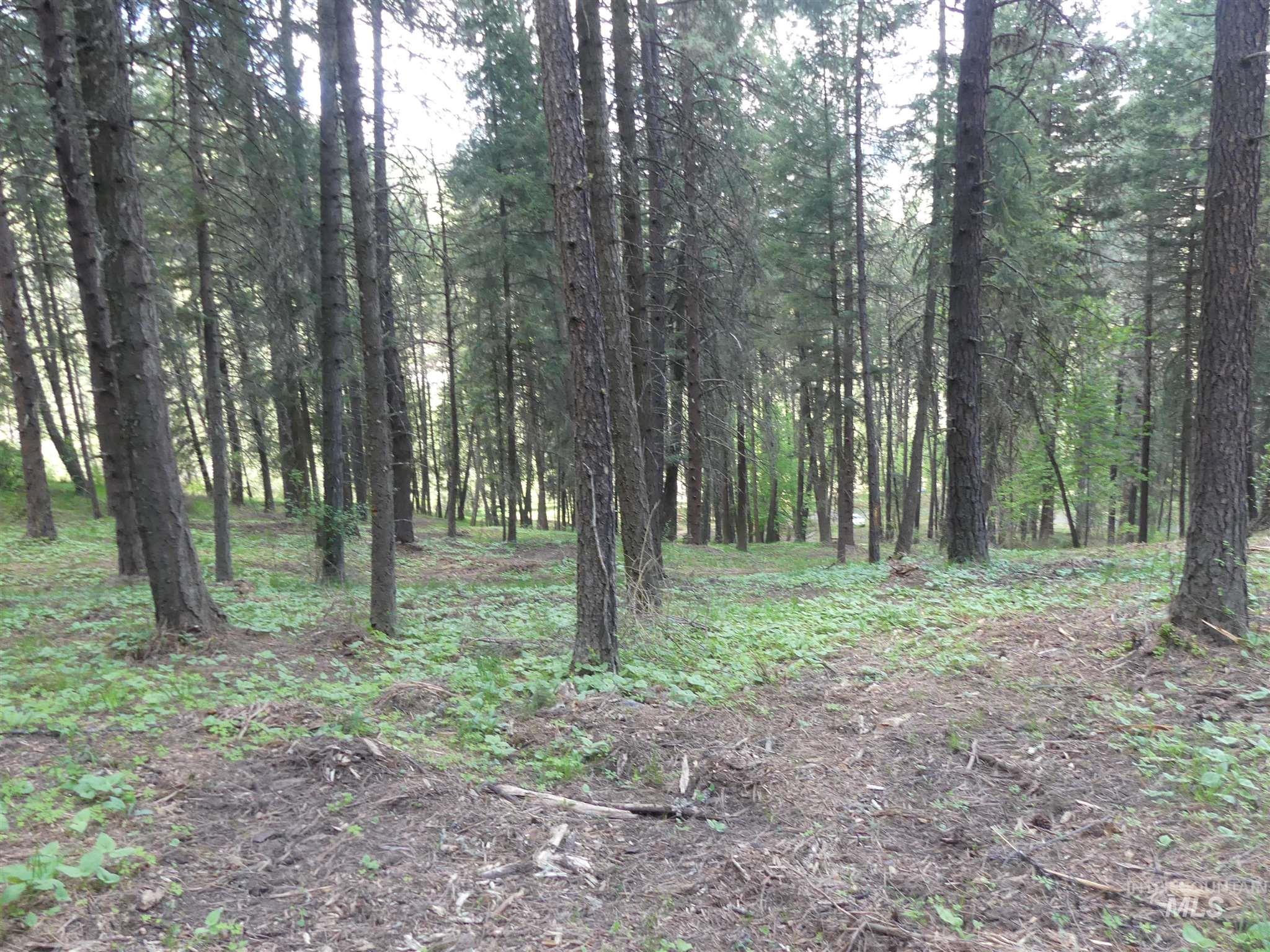 22743 Old Melrose Grade, Peck, Idaho 83545, Land For Sale, Price $200,000,MLS 98915395