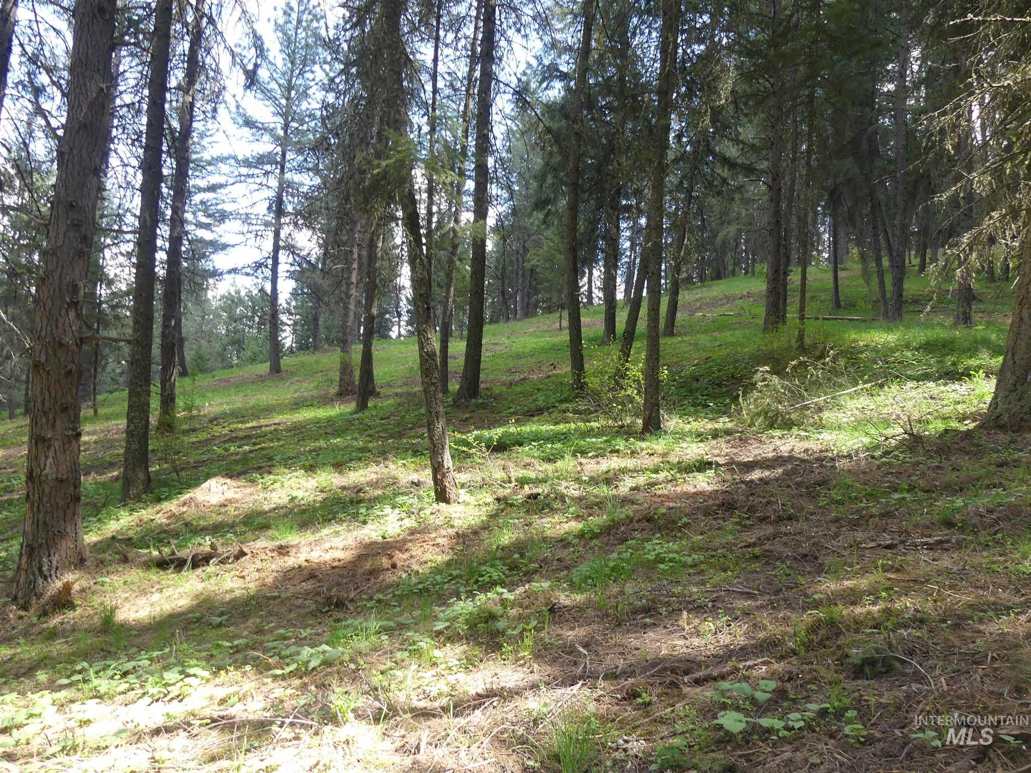 22743 Old Melrose Grade, Peck, Idaho 83545, Land For Sale, Price $200,000,MLS 98915395