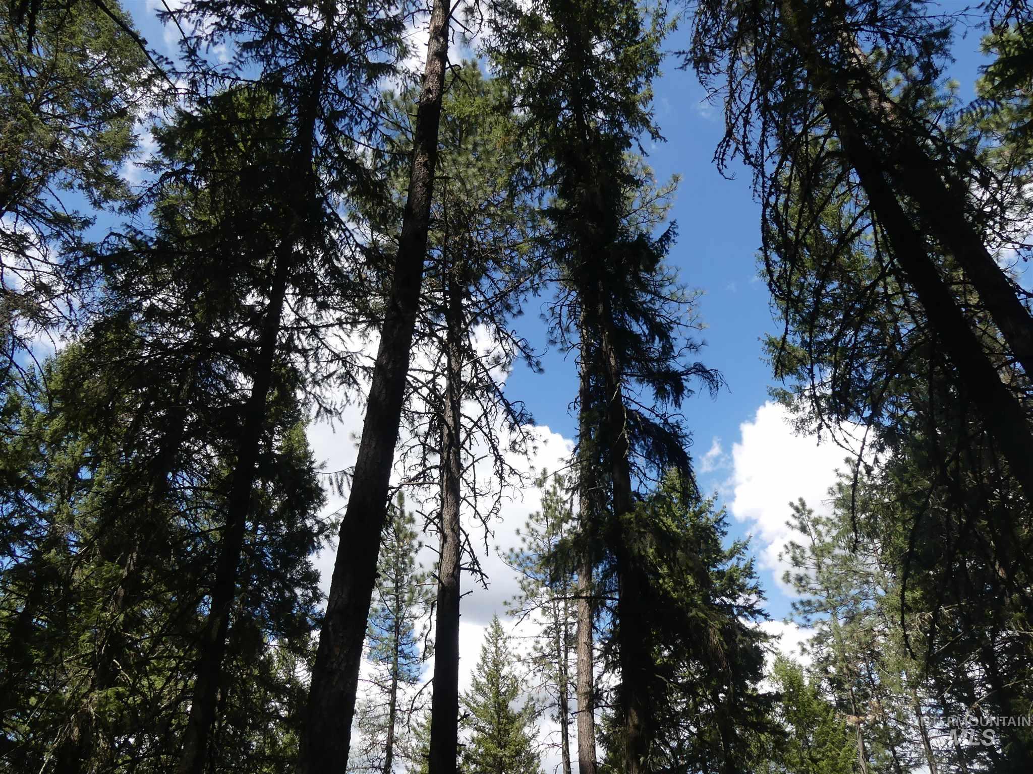 22743 Old Melrose Grade, Peck, Idaho 83545, Land For Sale, Price $200,000,MLS 98915395