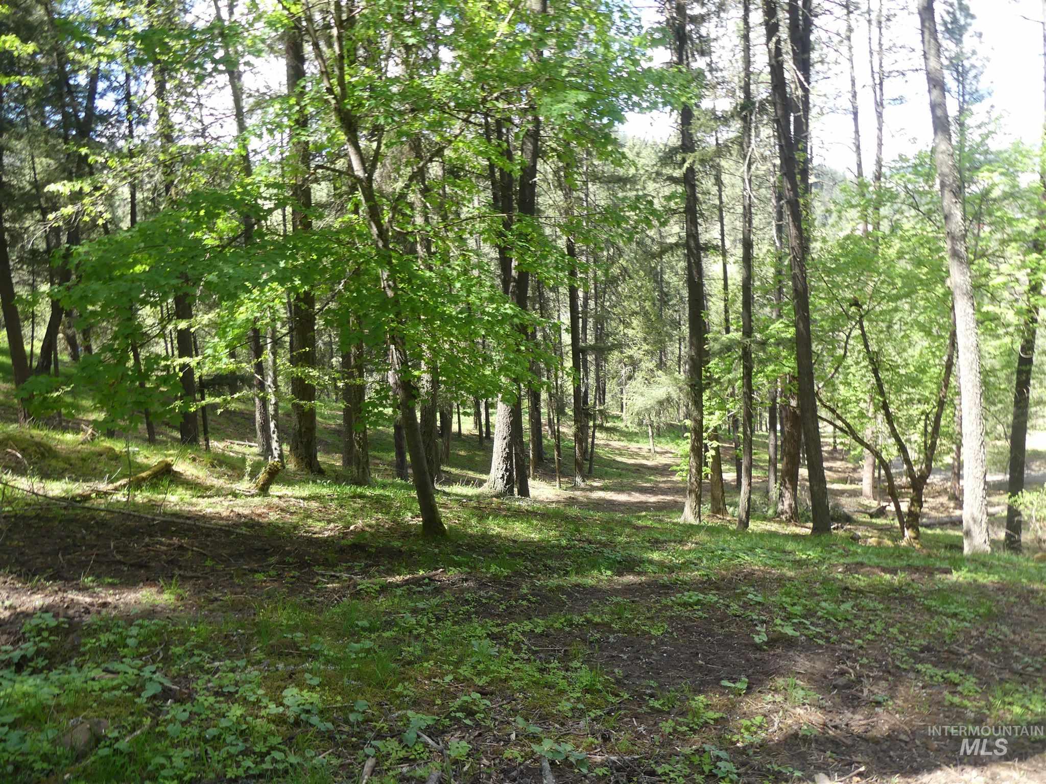 22743 Old Melrose Grade, Peck, Idaho 83545, Land For Sale, Price $200,000,MLS 98915395