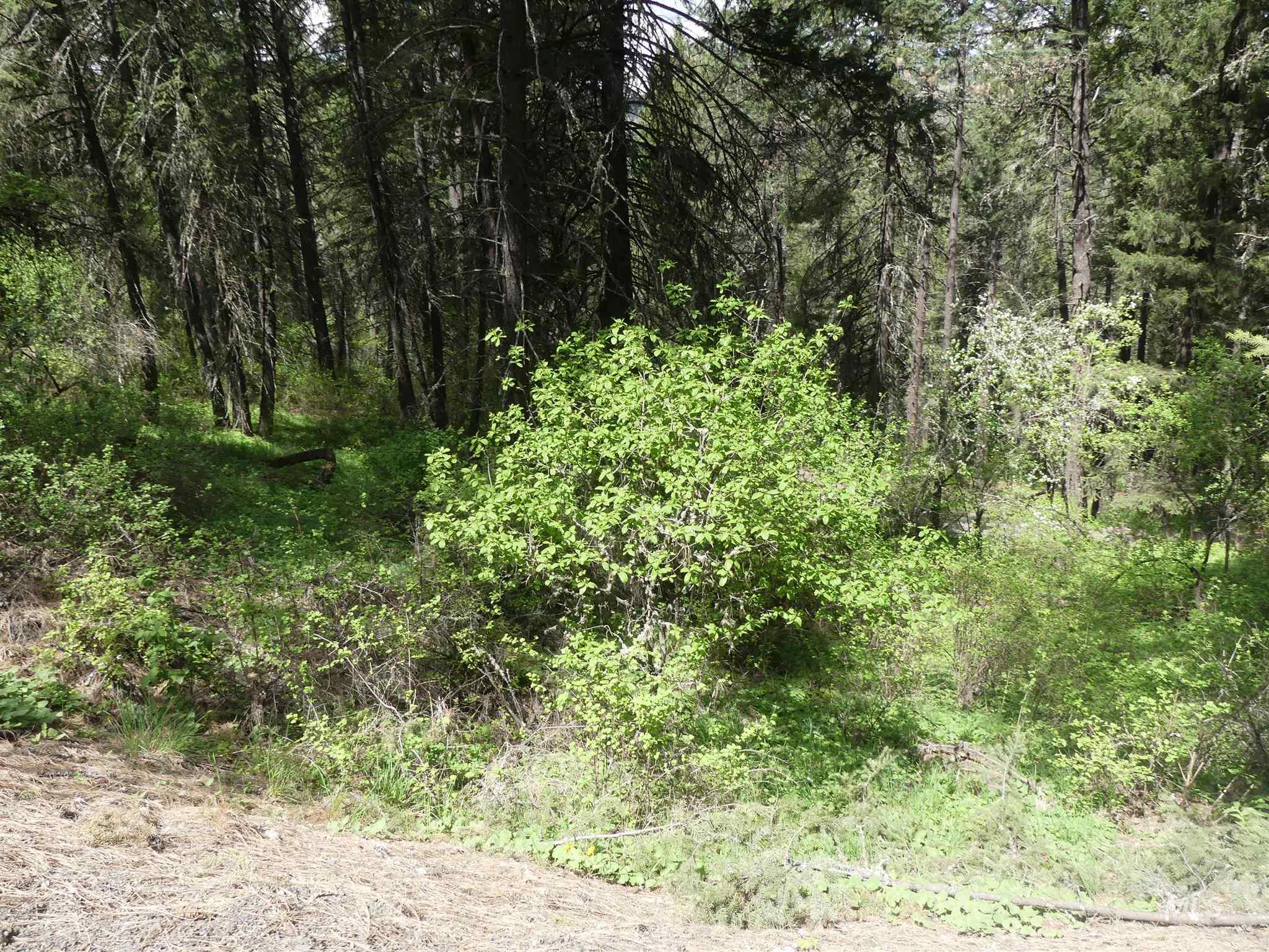22743 Old Melrose Grade, Peck, Idaho 83545, Land For Sale, Price $200,000,MLS 98915395