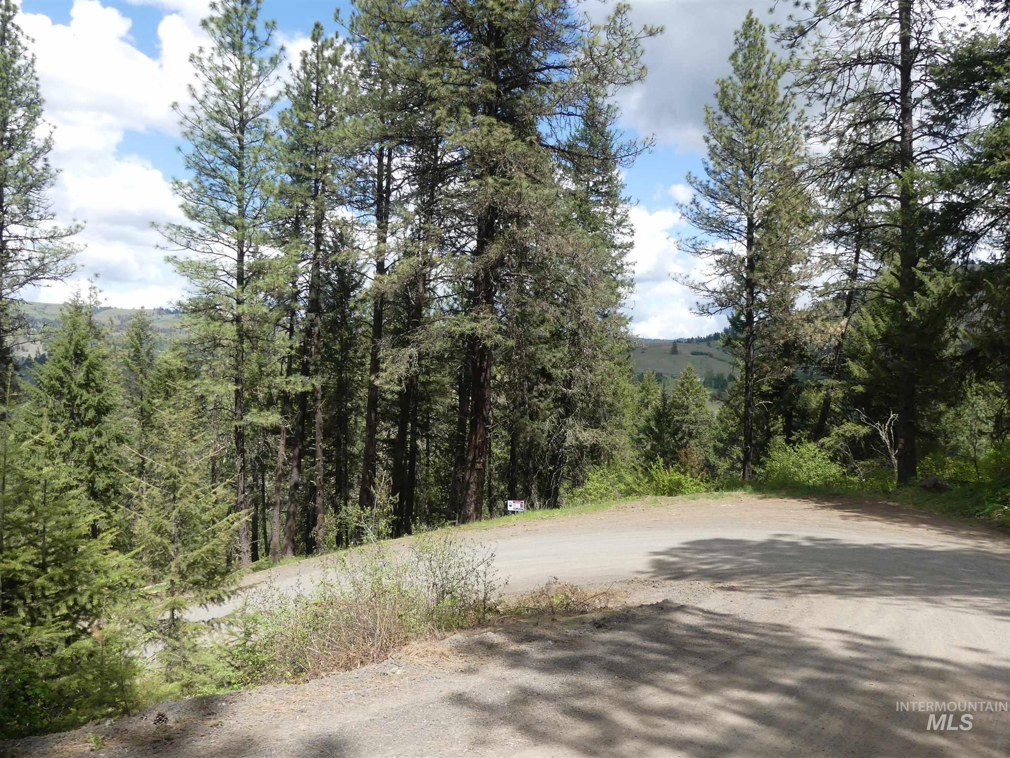 22743 Old Melrose Grade, Peck, Idaho 83545, Land For Sale, Price $200,000,MLS 98915395