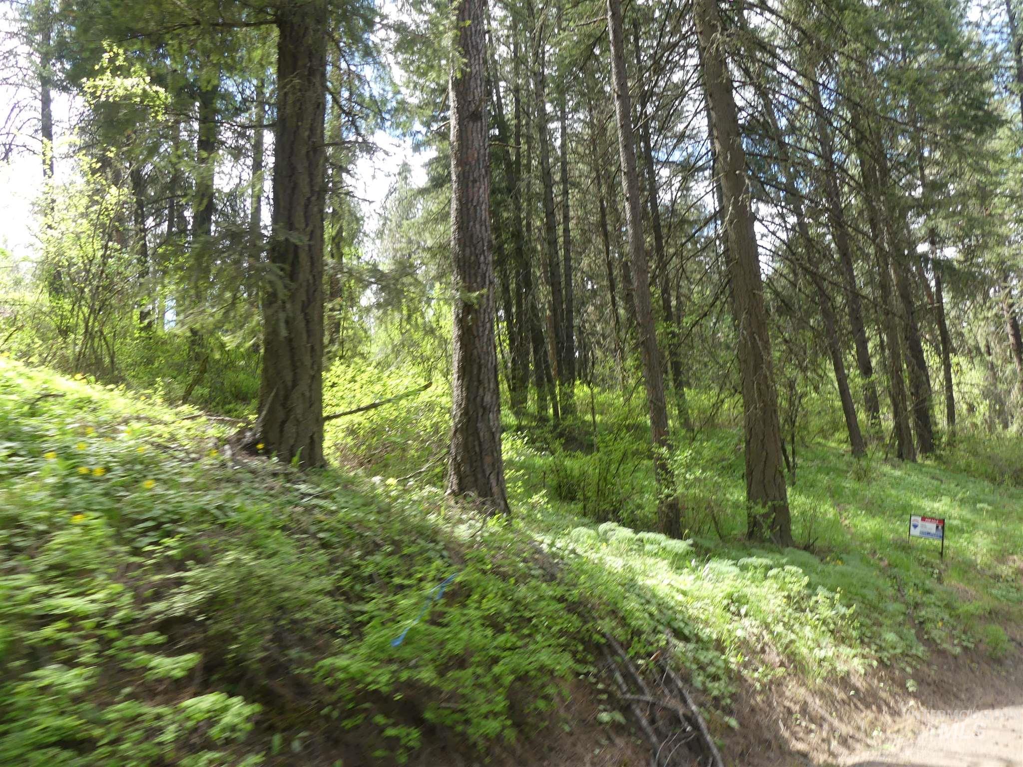 22743 Old Melrose Grade, Peck, Idaho 83545, Land For Sale, Price $200,000,MLS 98915395