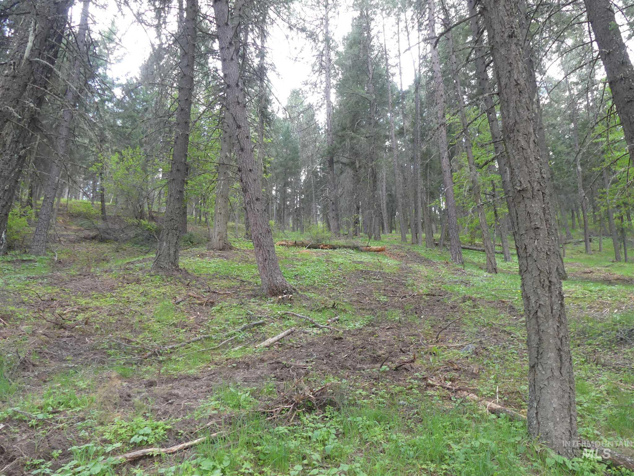 22743 Old Melrose Grade, Peck, Idaho 83545, Land For Sale, Price $200,000,MLS 98915395