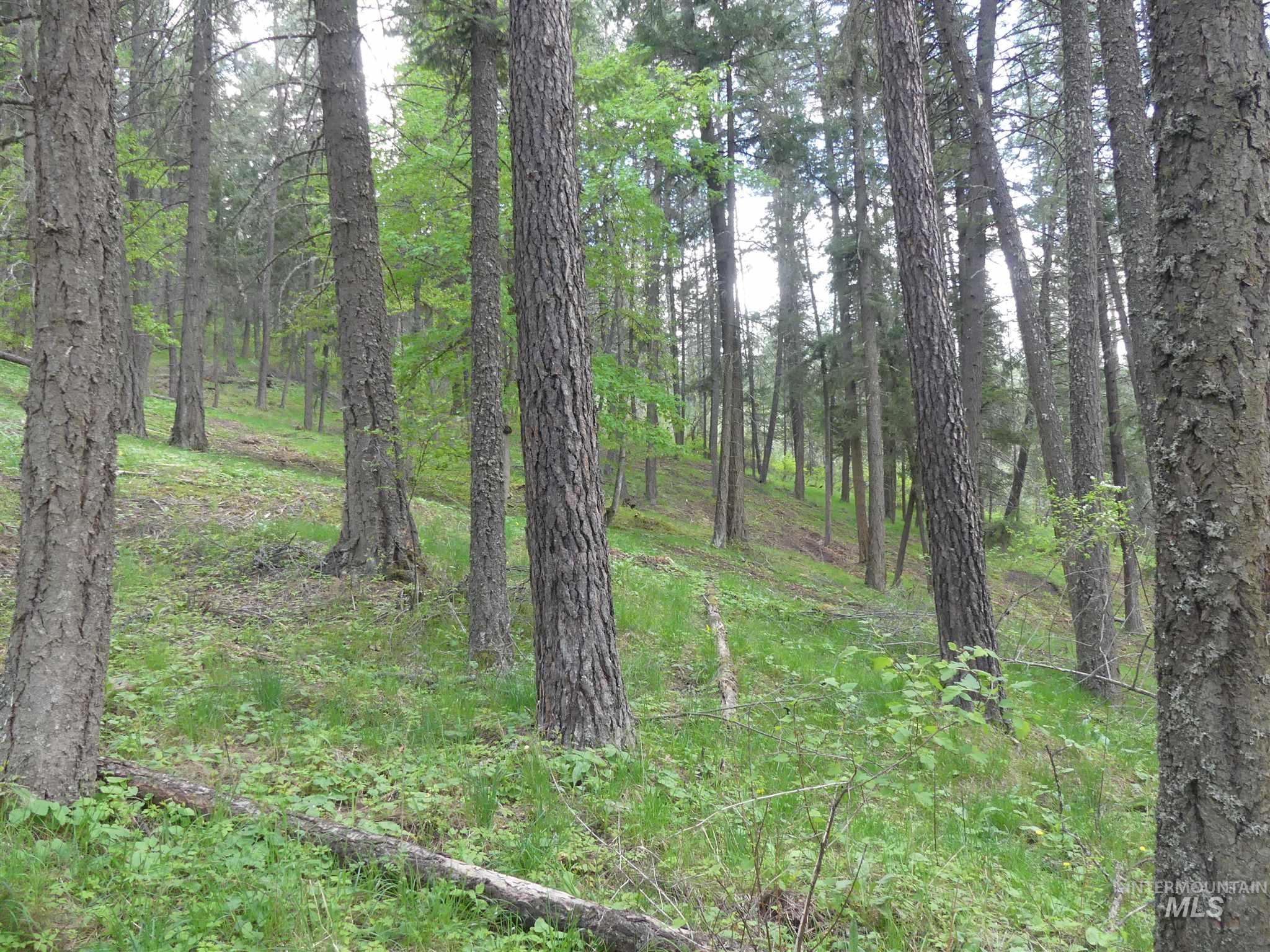 22743 Old Melrose Grade, Peck, Idaho 83545, Land For Sale, Price $200,000,MLS 98915395