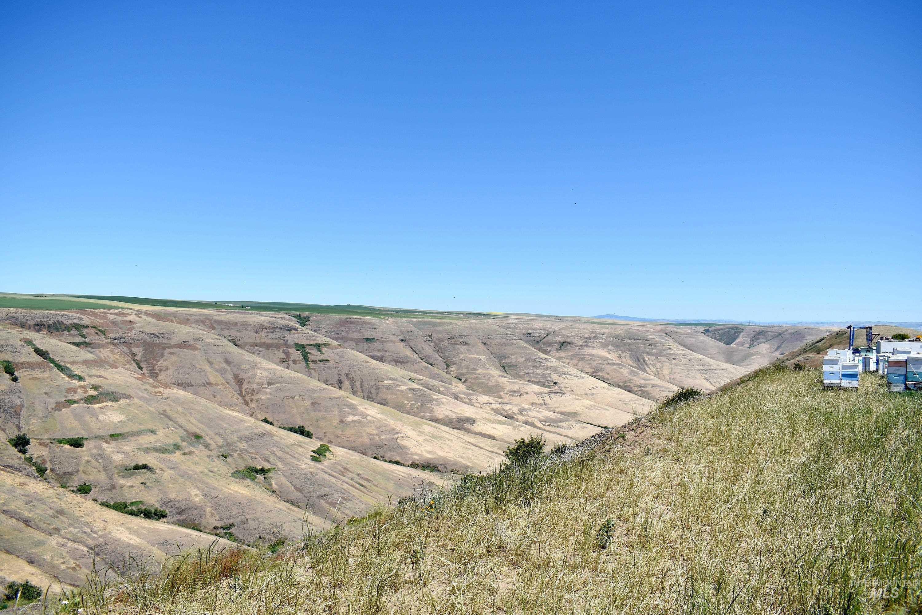 0 Spur Rd, Genesee, Idaho 83832, Land For Sale, Price $299,000,MLS 98915534