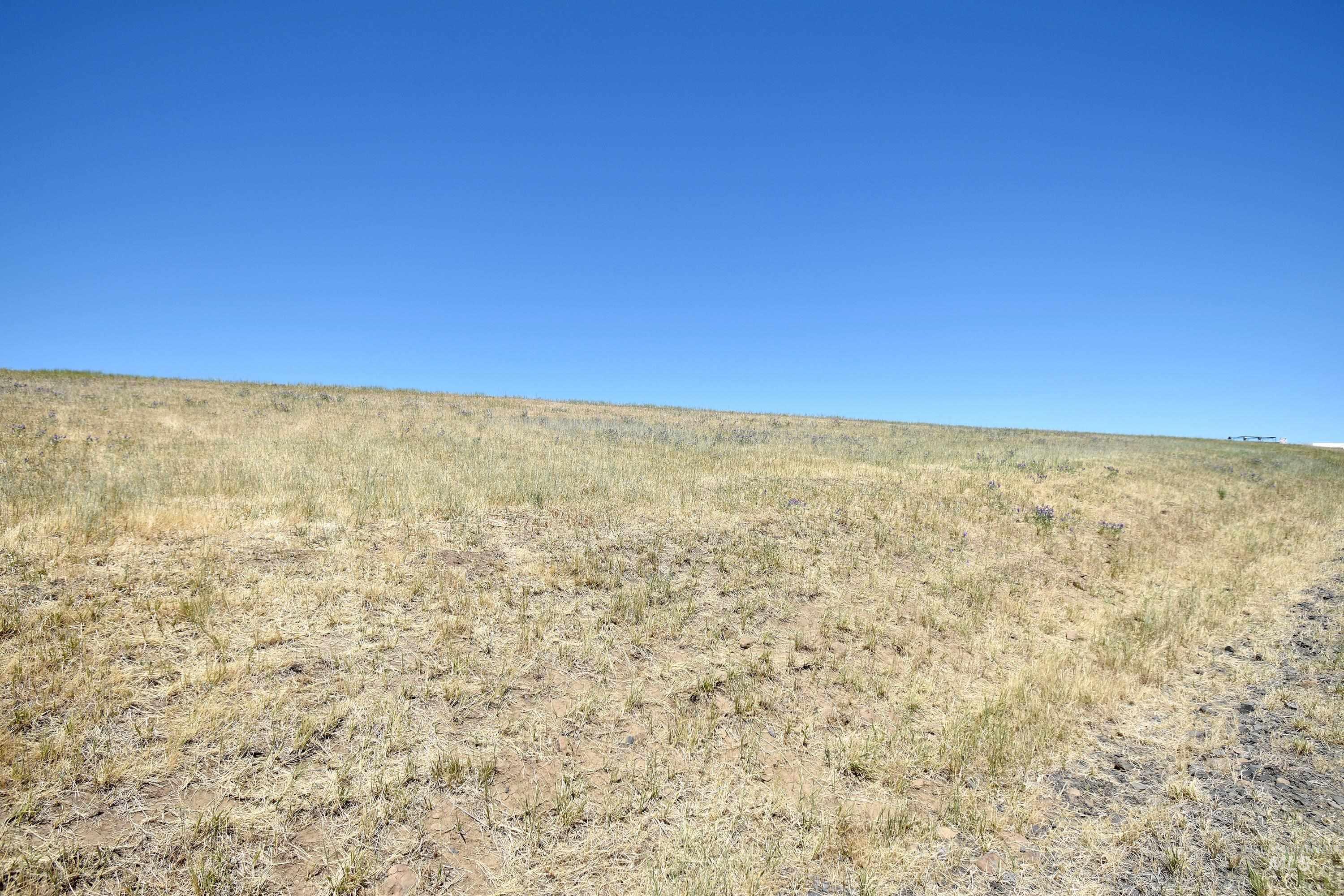0 Spur Road, Genesee, Idaho 83832, Land For Sale, Price $299,000,MLS 98915534