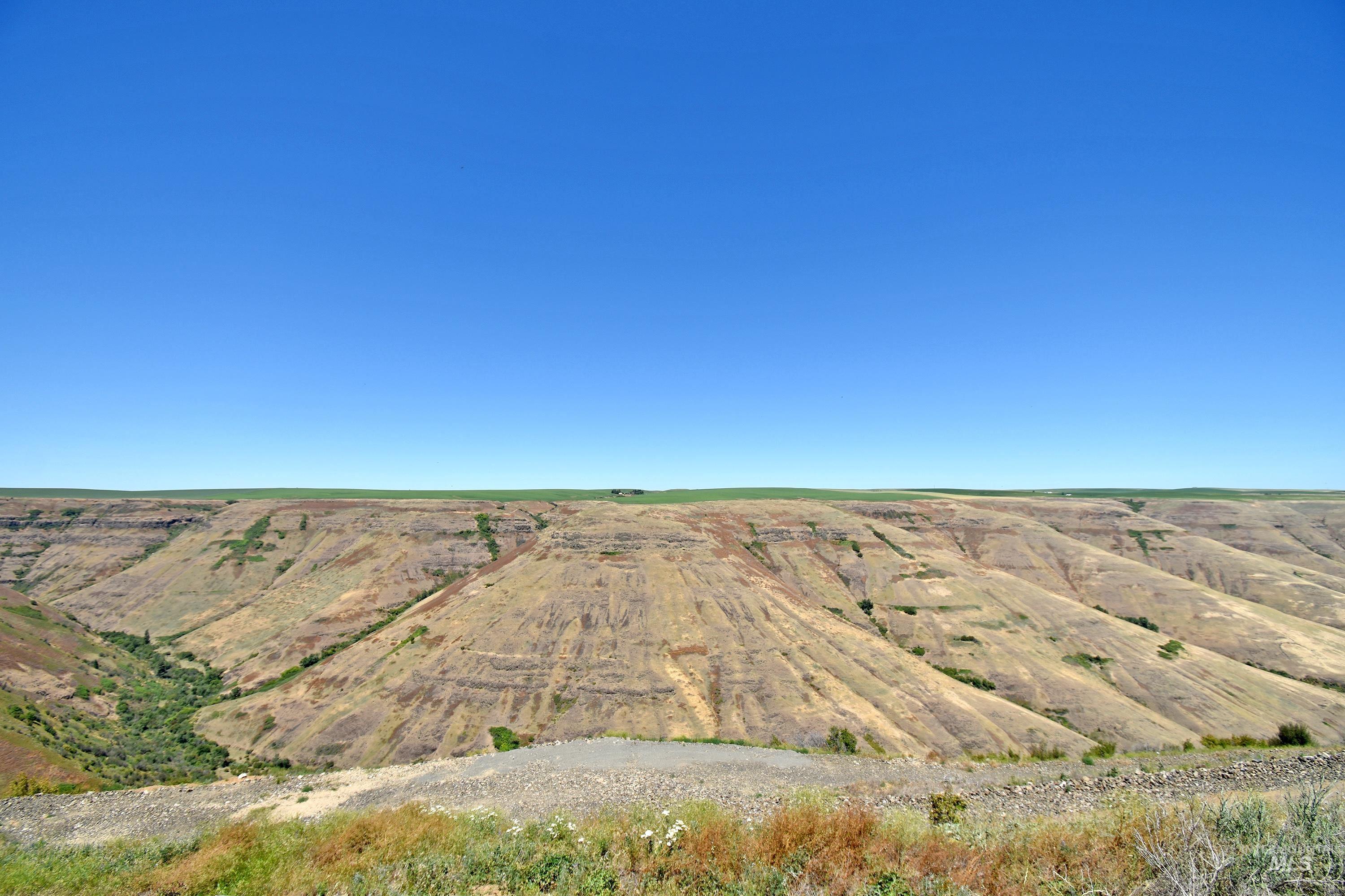 0 Spur Rd, Genesee, Idaho 83832, Land For Sale, Price $299,000,MLS 98915534