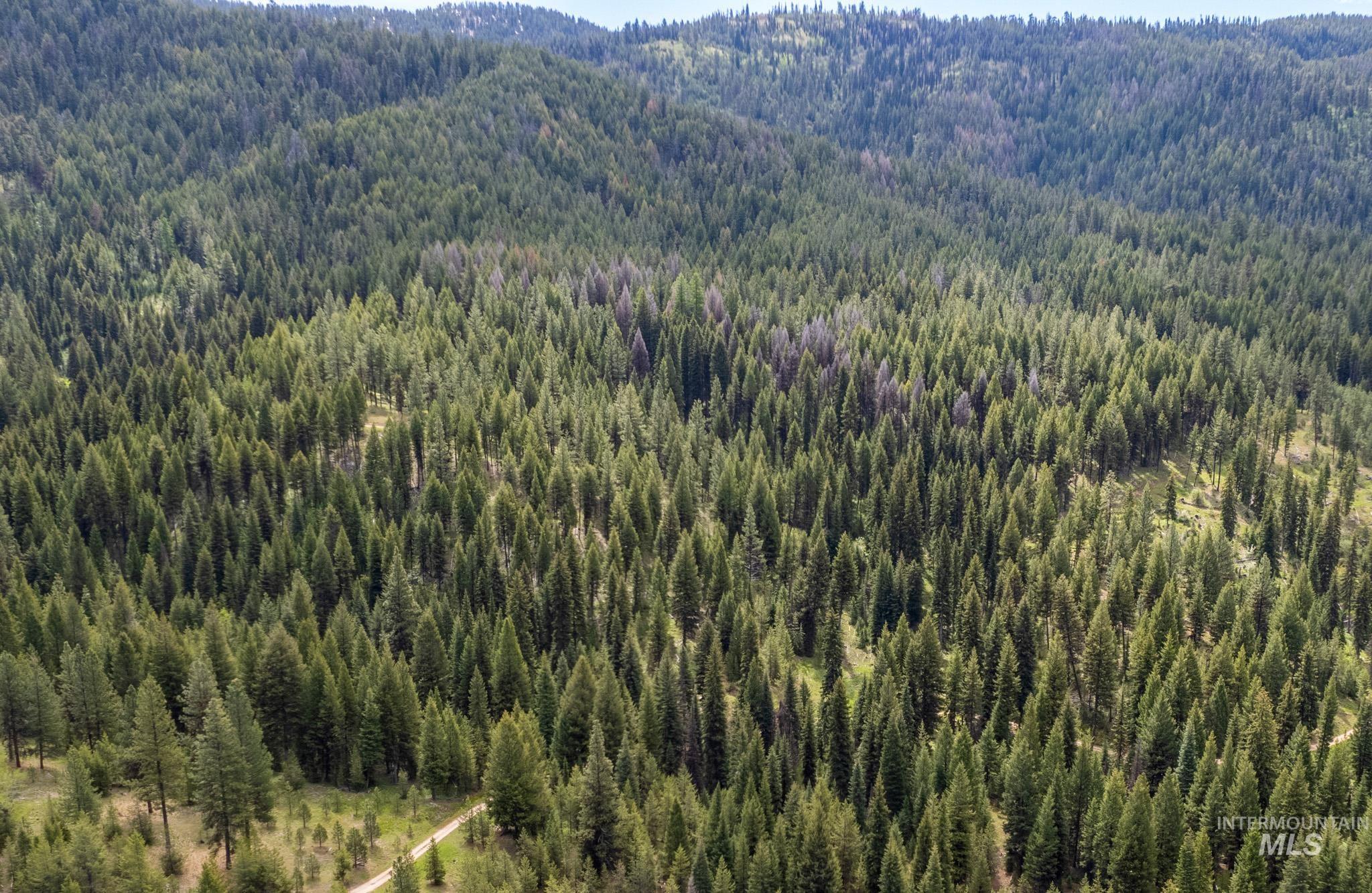 TBD 42 Clear Creek Road, Cascade, Idaho 83611, Land For Sale, Price $403,325,MLS 98915555