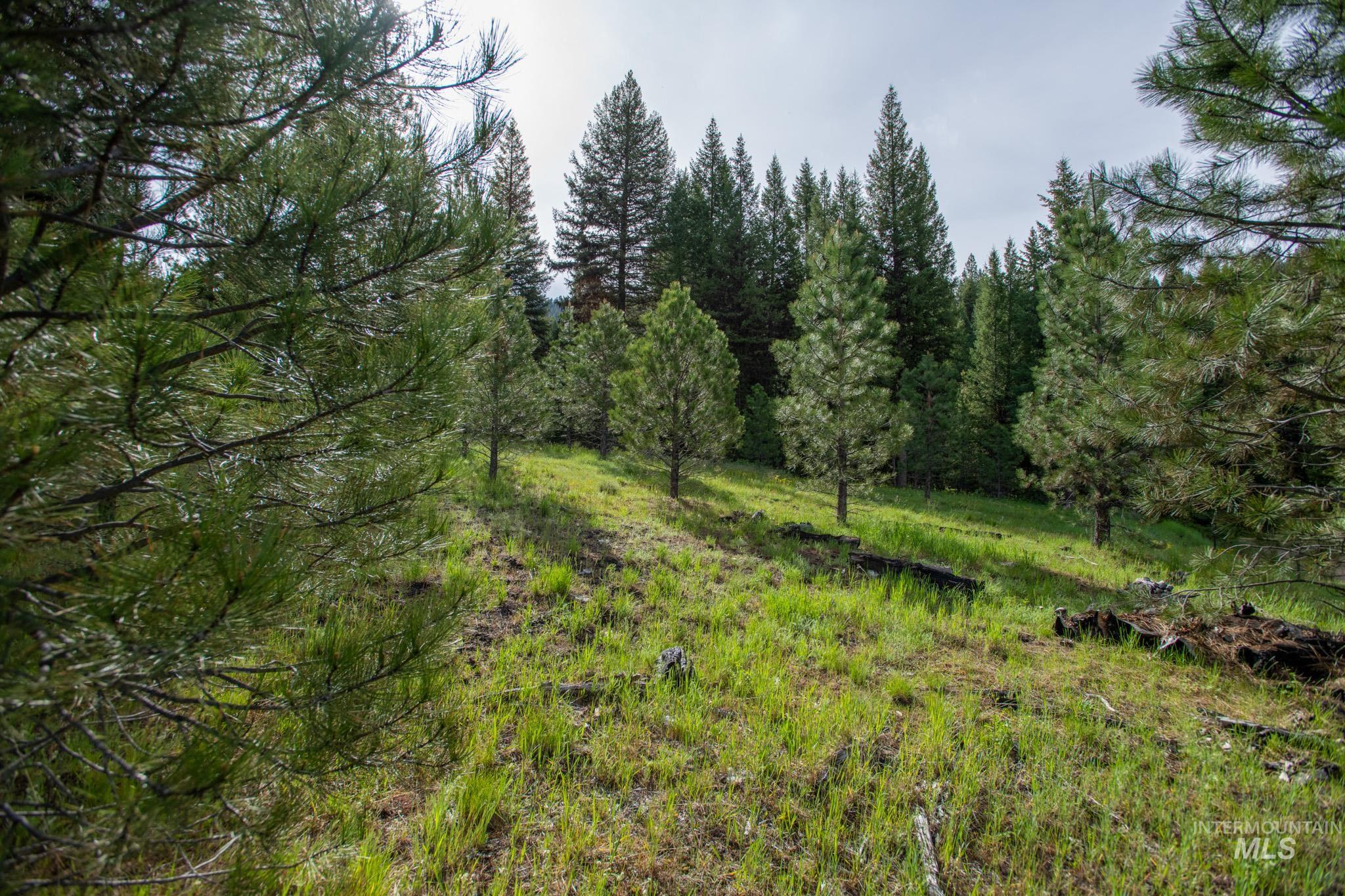 TBD 42 Clear Creek Road, Cascade, Idaho 83611, Land For Sale, Price $403,325,MLS 98915555