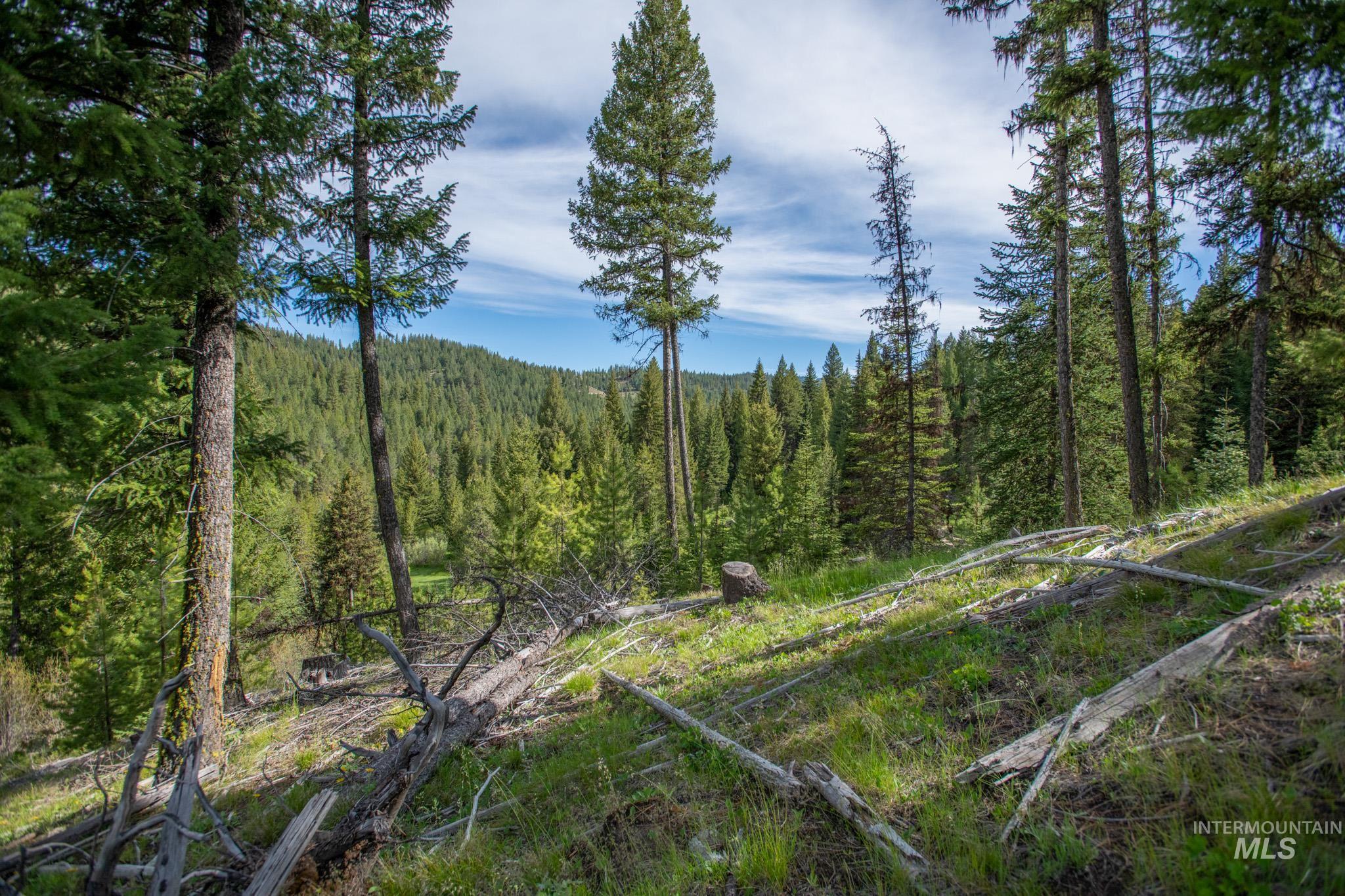 TBD 42 Clear Creek Road, Cascade, Idaho 83611, Land For Sale, Price $403,325,MLS 98915555