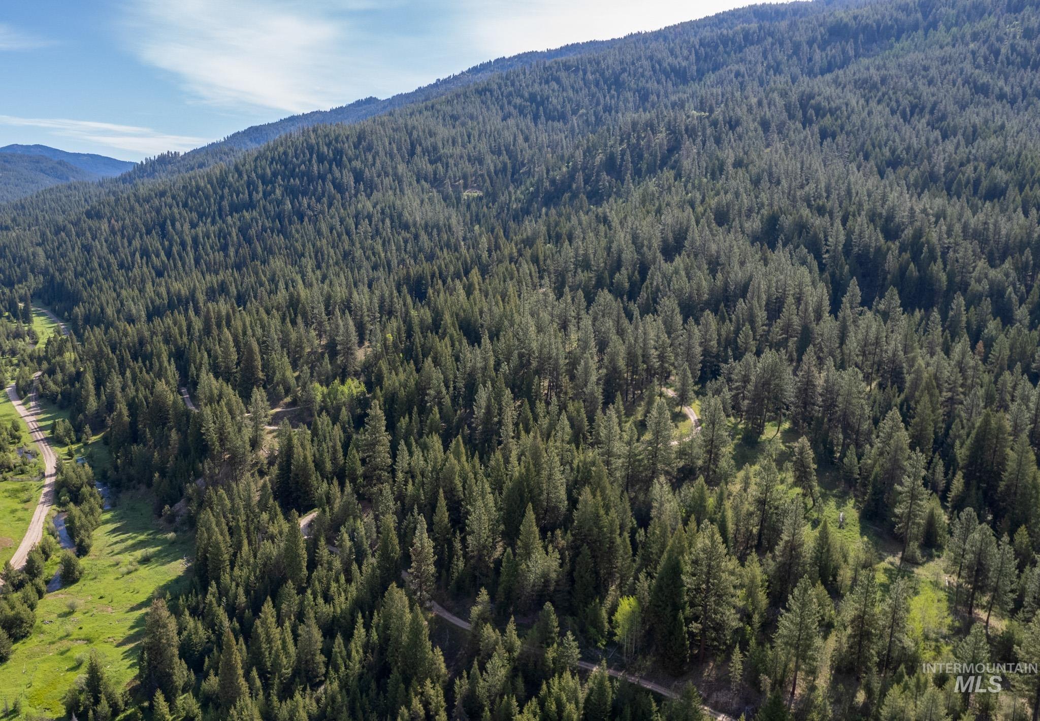 TBD 42 Clear Creek Road, Cascade, Idaho 83611, Land For Sale, Price $403,325,MLS 98915555