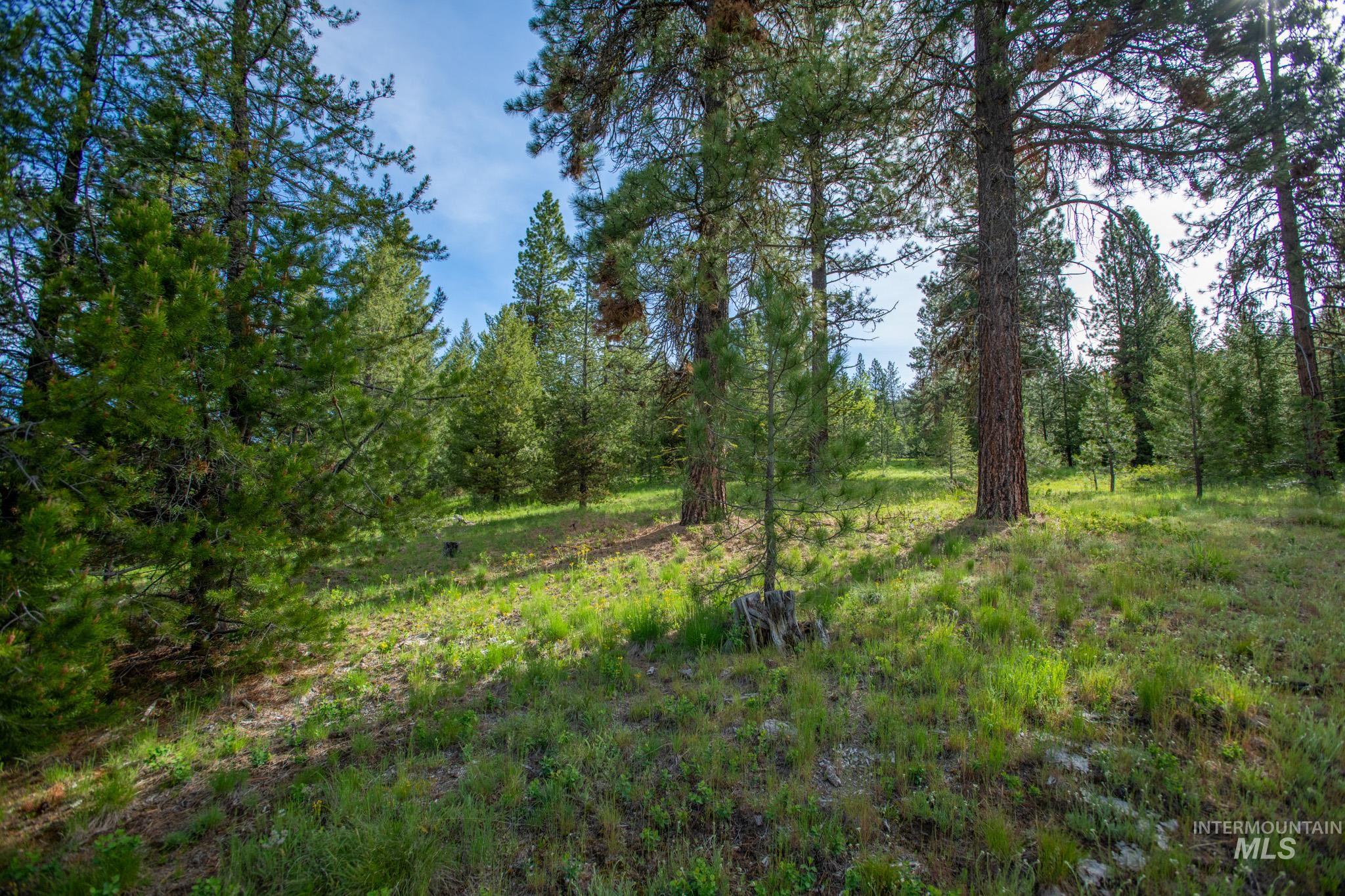 TBD 42 Clear Creek Road, Cascade, Idaho 83611, Land For Sale, Price $403,325,MLS 98915555