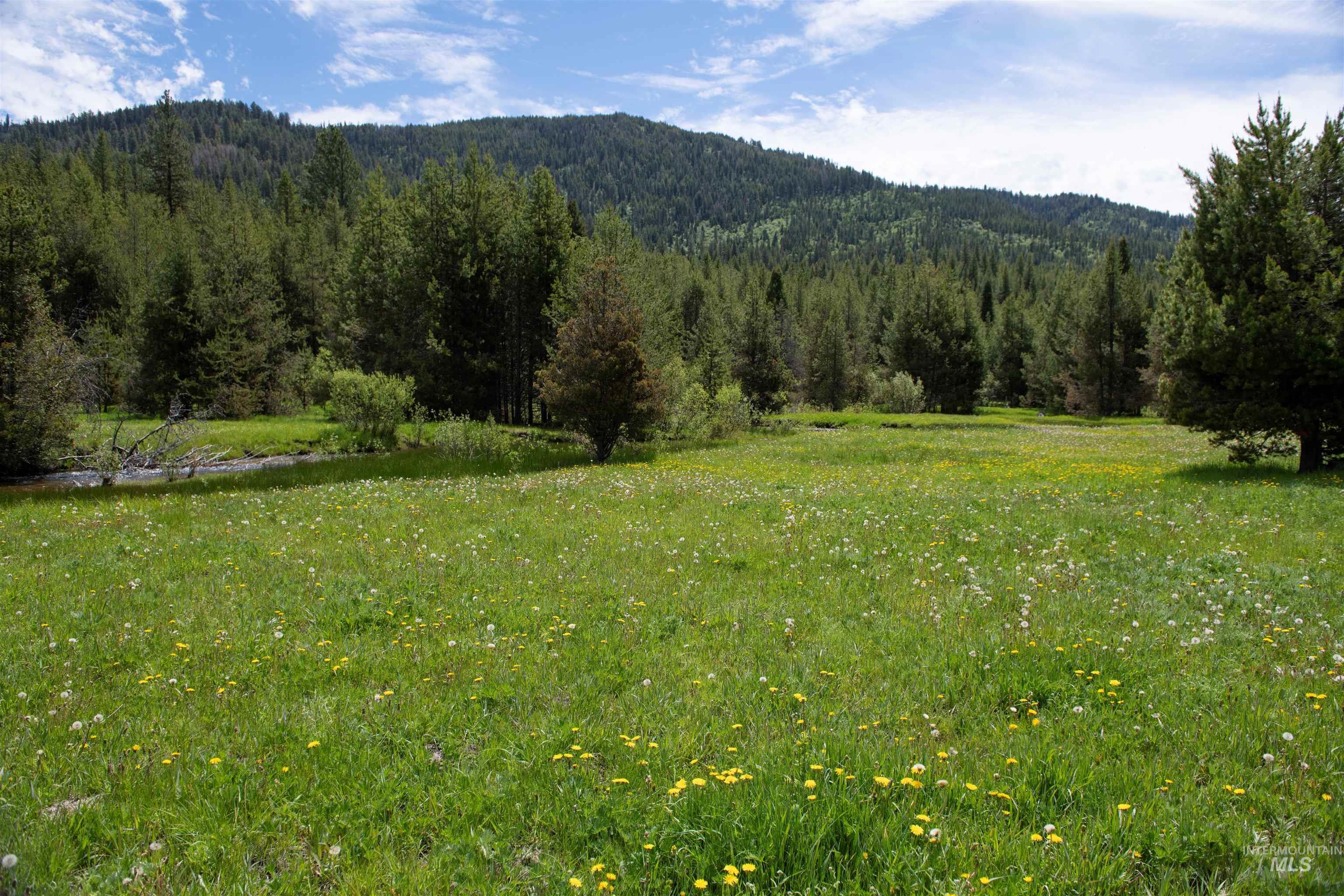 TBD 27 Clear Creek Road, Cascade, Idaho 83611, Land For Sale, Price $380,375,MLS 98915560