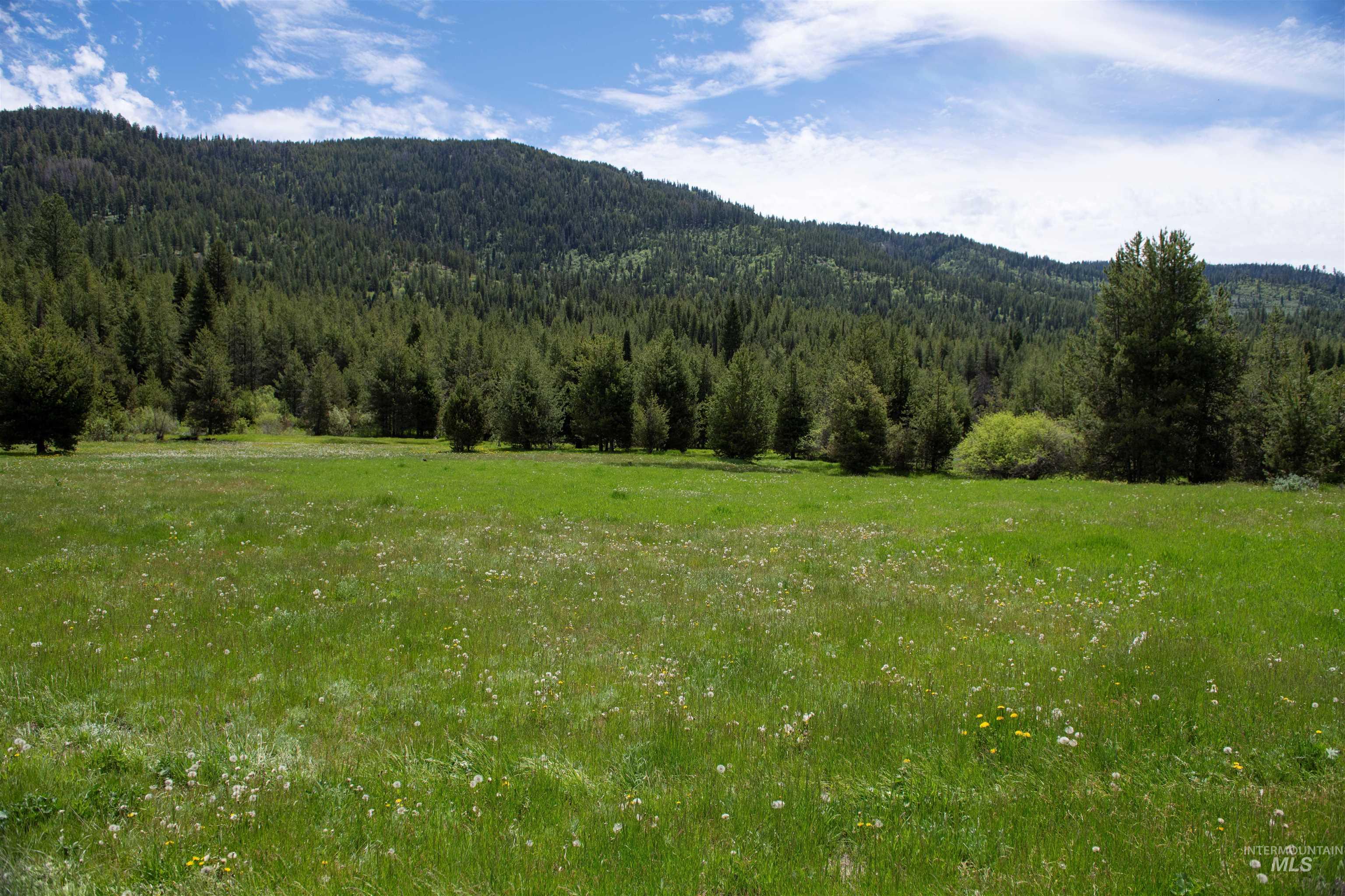 TBD 27 Clear Creek Road, Cascade, Idaho 83611, Land For Sale, Price $380,375,MLS 98915560