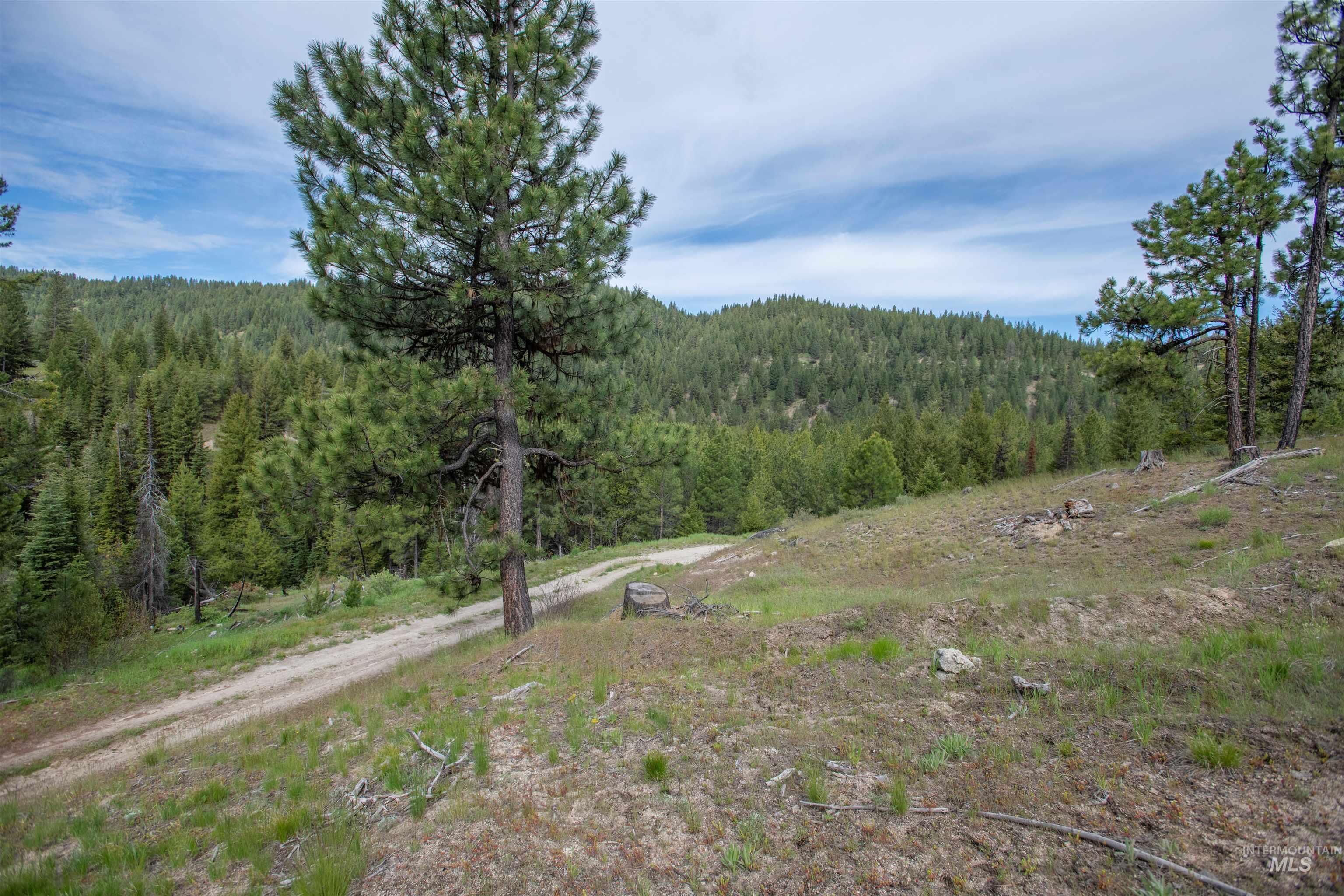 TBD 34 Clear Creek Road, Cascade, Idaho 83611, Land For Sale, Price $319,256,MLS 98915588
