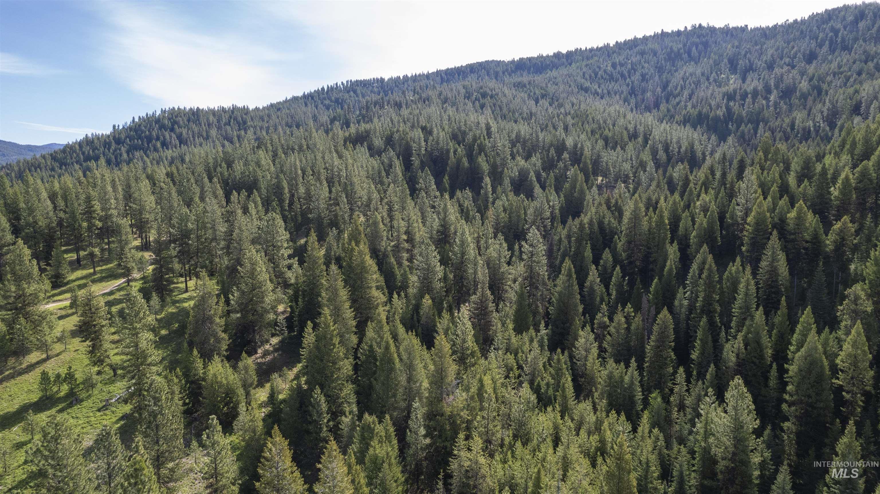 TBD 34 Clear Creek Road, Cascade, Idaho 83611, Land For Sale, Price $319,256,MLS 98915588