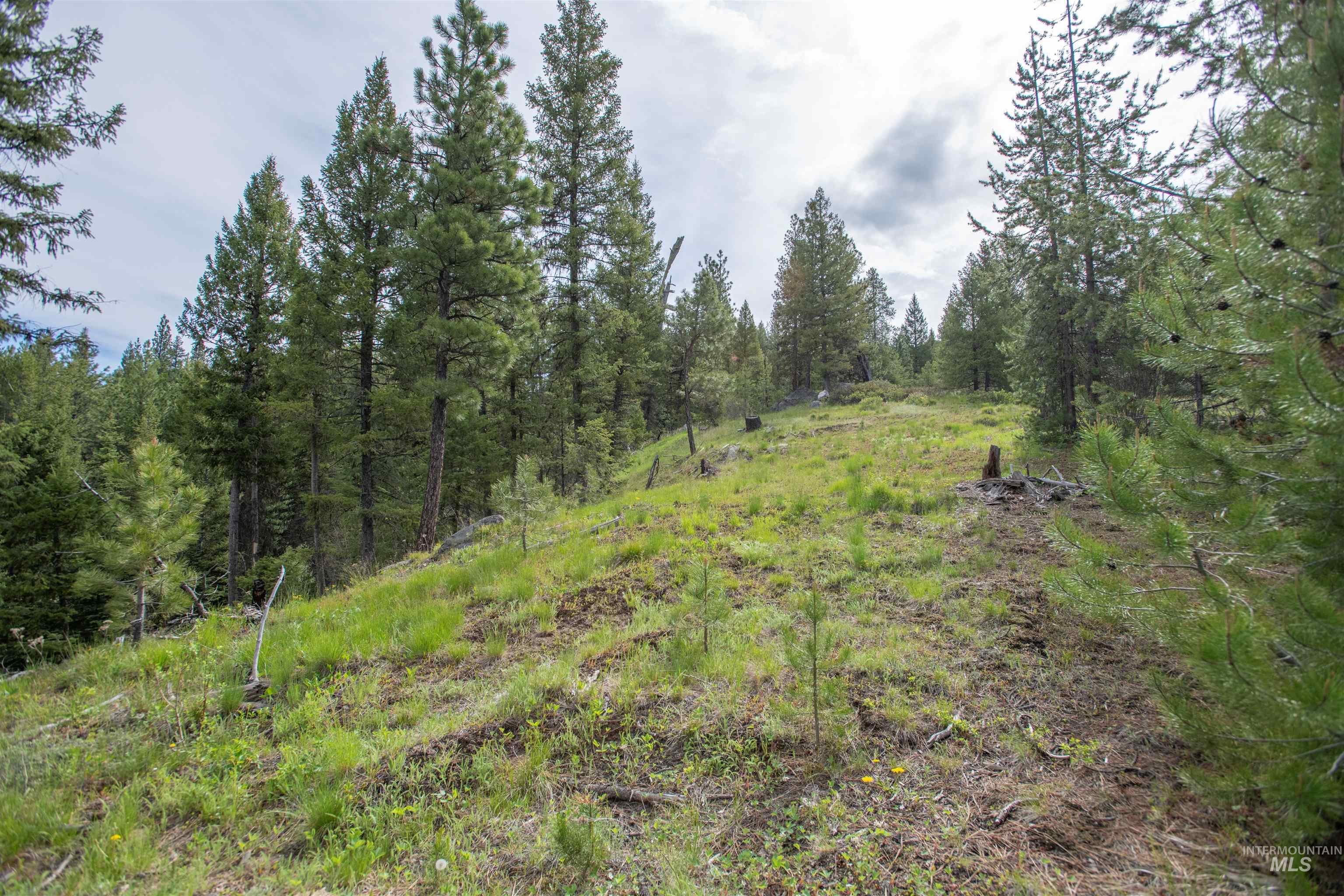 TBD 34 Clear Creek Road, Cascade, Idaho 83611, Land For Sale, Price $319,256,MLS 98915588