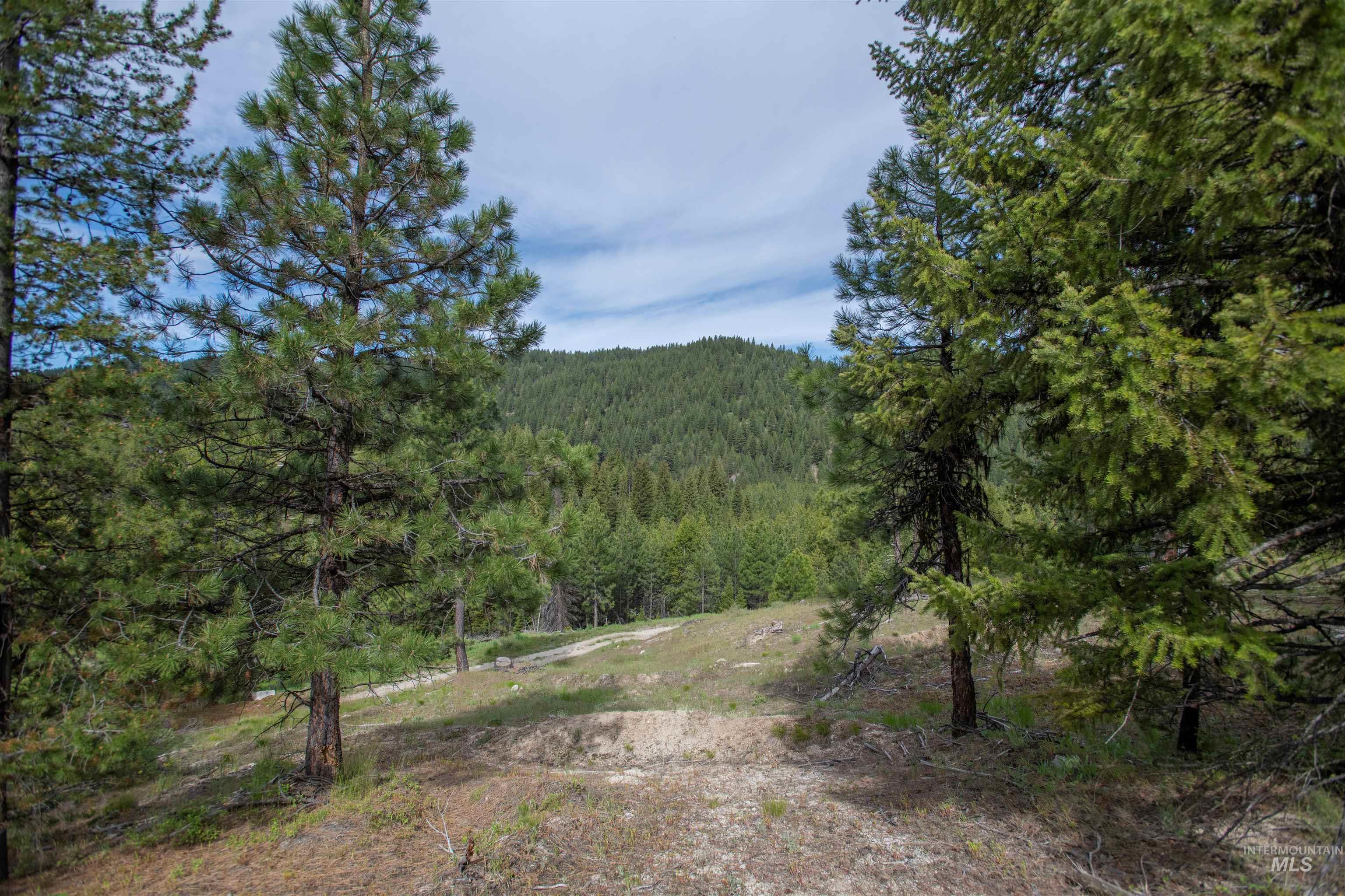 TBD 34 Clear Creek Road, Cascade, Idaho 83611, Land For Sale, Price $319,256,MLS 98915588