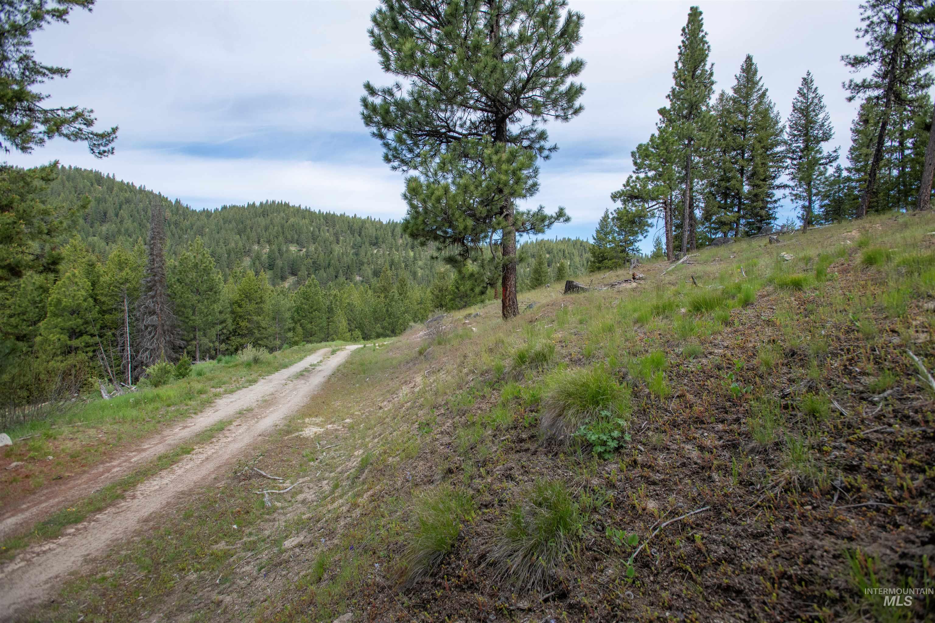 TBD 34 Clear Creek Road, Cascade, Idaho 83611, Land For Sale, Price $319,256,MLS 98915588