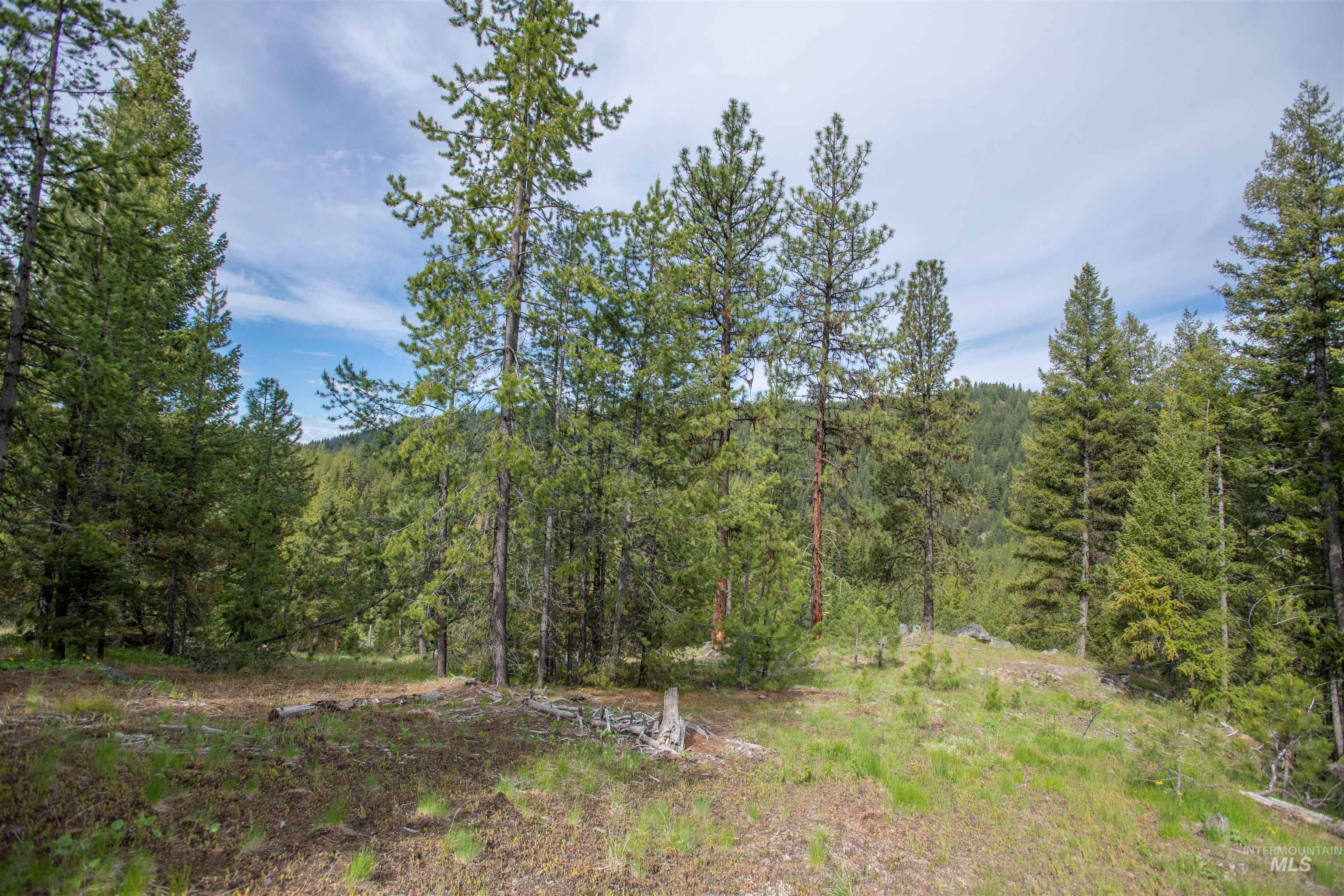 TBD 34 Clear Creek Road, Cascade, Idaho 83611, Land For Sale, Price $319,256,MLS 98915588