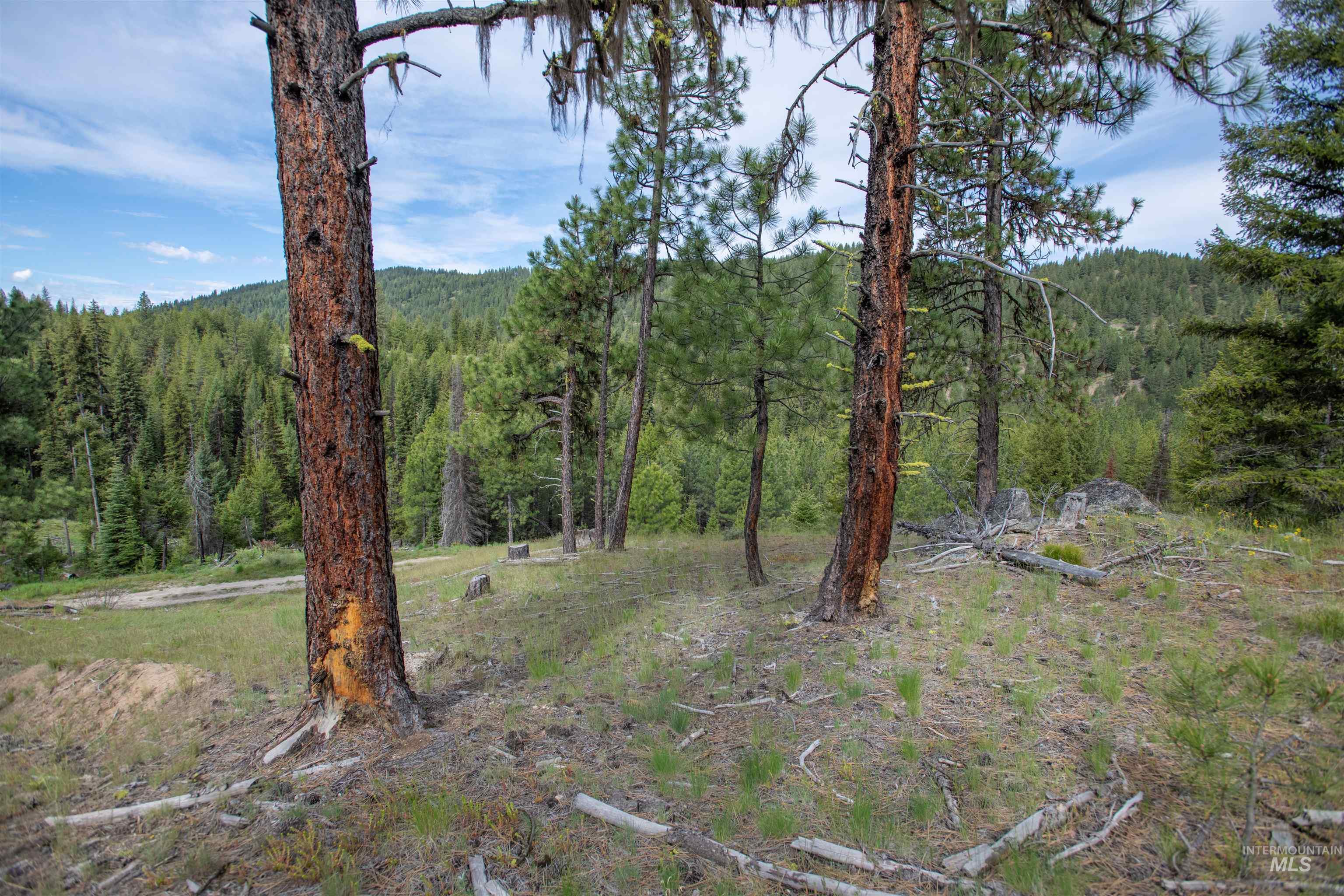TBD 34 Clear Creek Road, Cascade, Idaho 83611, Land For Sale, Price $319,256,MLS 98915588