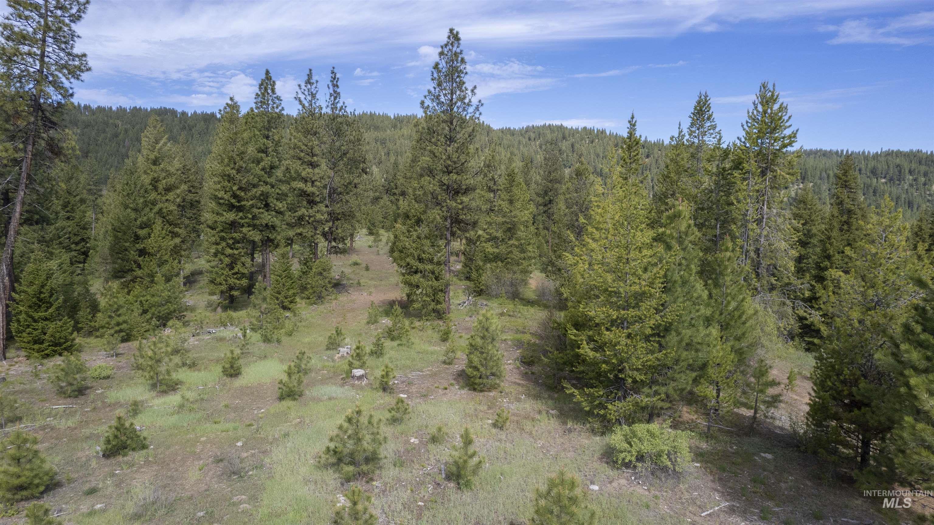 TBD 34 Clear Creek Road, Cascade, Idaho 83611, Land For Sale, Price $319,256,MLS 98915588