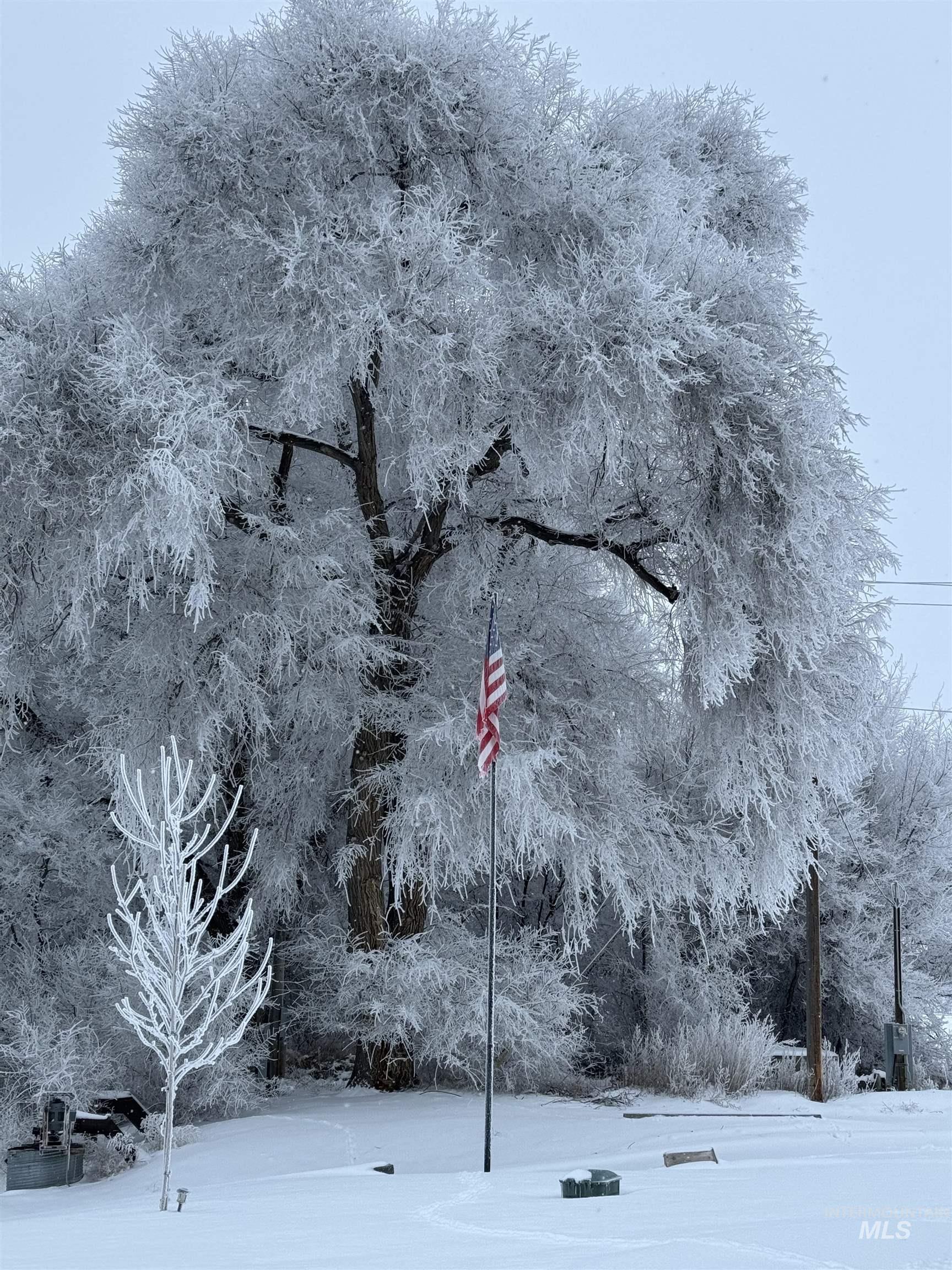 1964 River Road, Homedale, Idaho 83628, 5 Bedrooms, 4 Bathrooms, Residential For Sale, Price $1,995,000,MLS 98915675