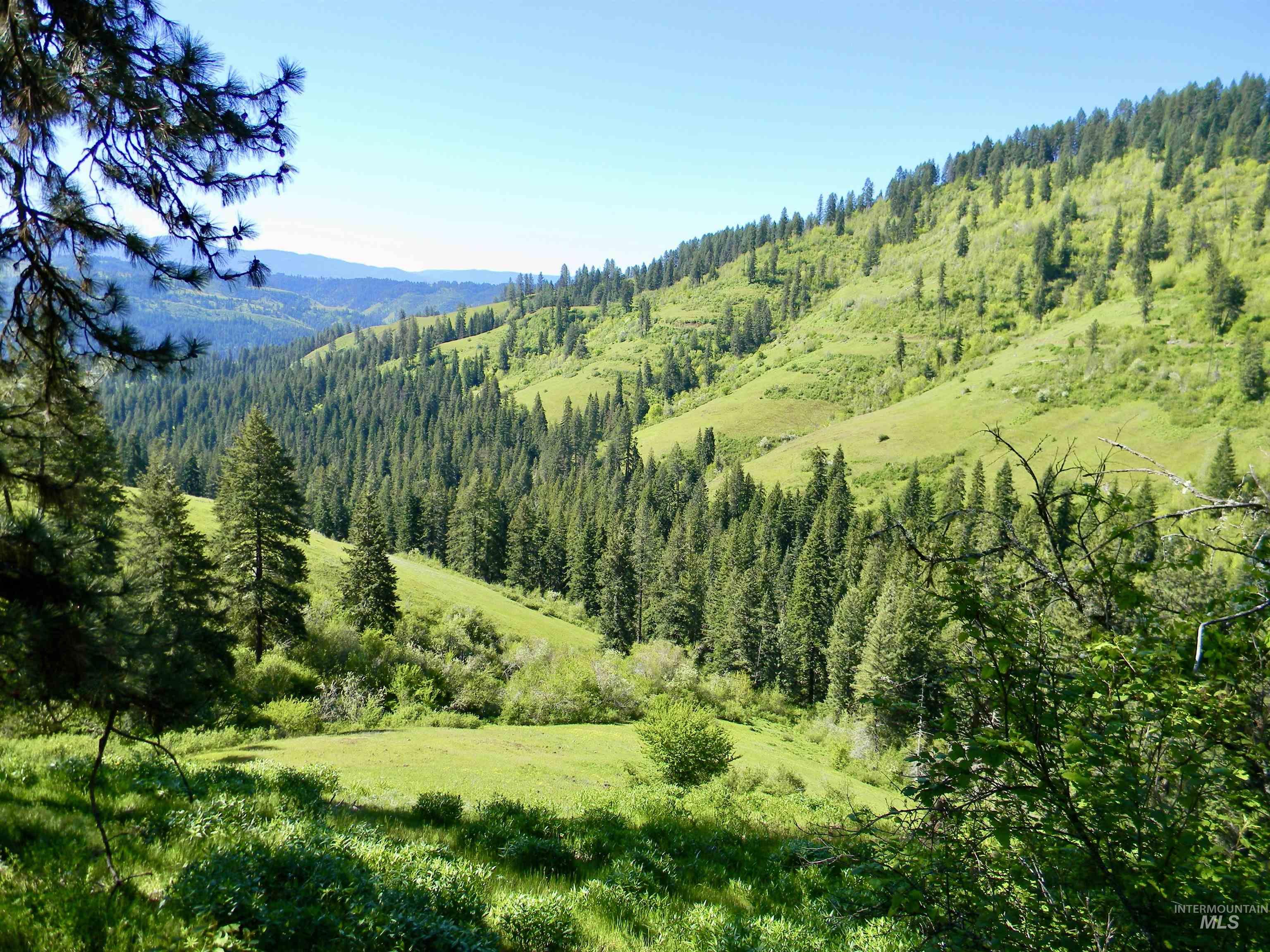 151 151 Ranta Rd, Kooskia, Idaho 83539, 4 Bedrooms, 5 Bathrooms, Farm & Ranch For Sale, Price $7,400,000,MLS 98915858