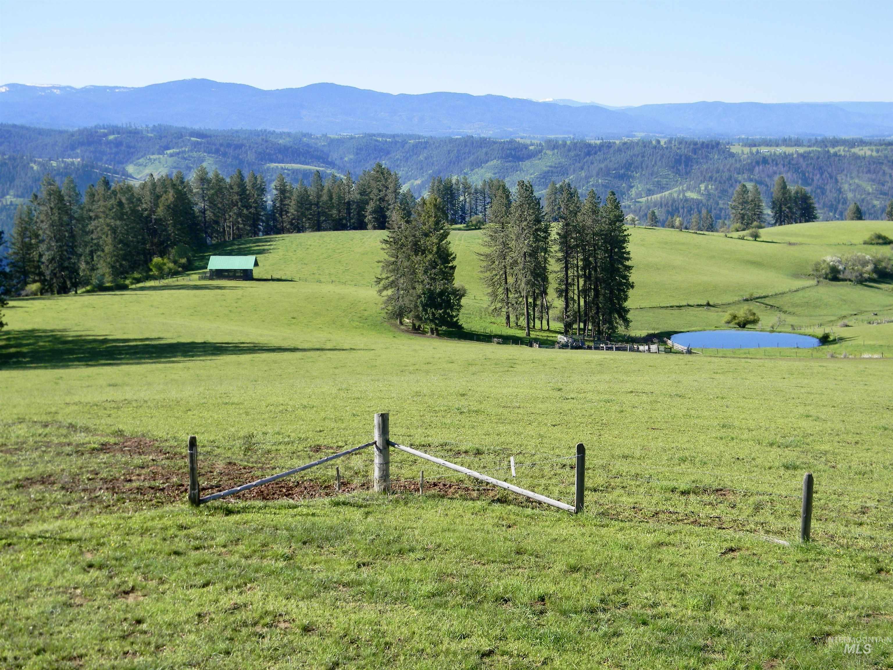 151 151 Ranta Rd, Kooskia, Idaho 83539, 4 Bedrooms, 5 Bathrooms, Farm & Ranch For Sale, Price $7,400,000,MLS 98915858