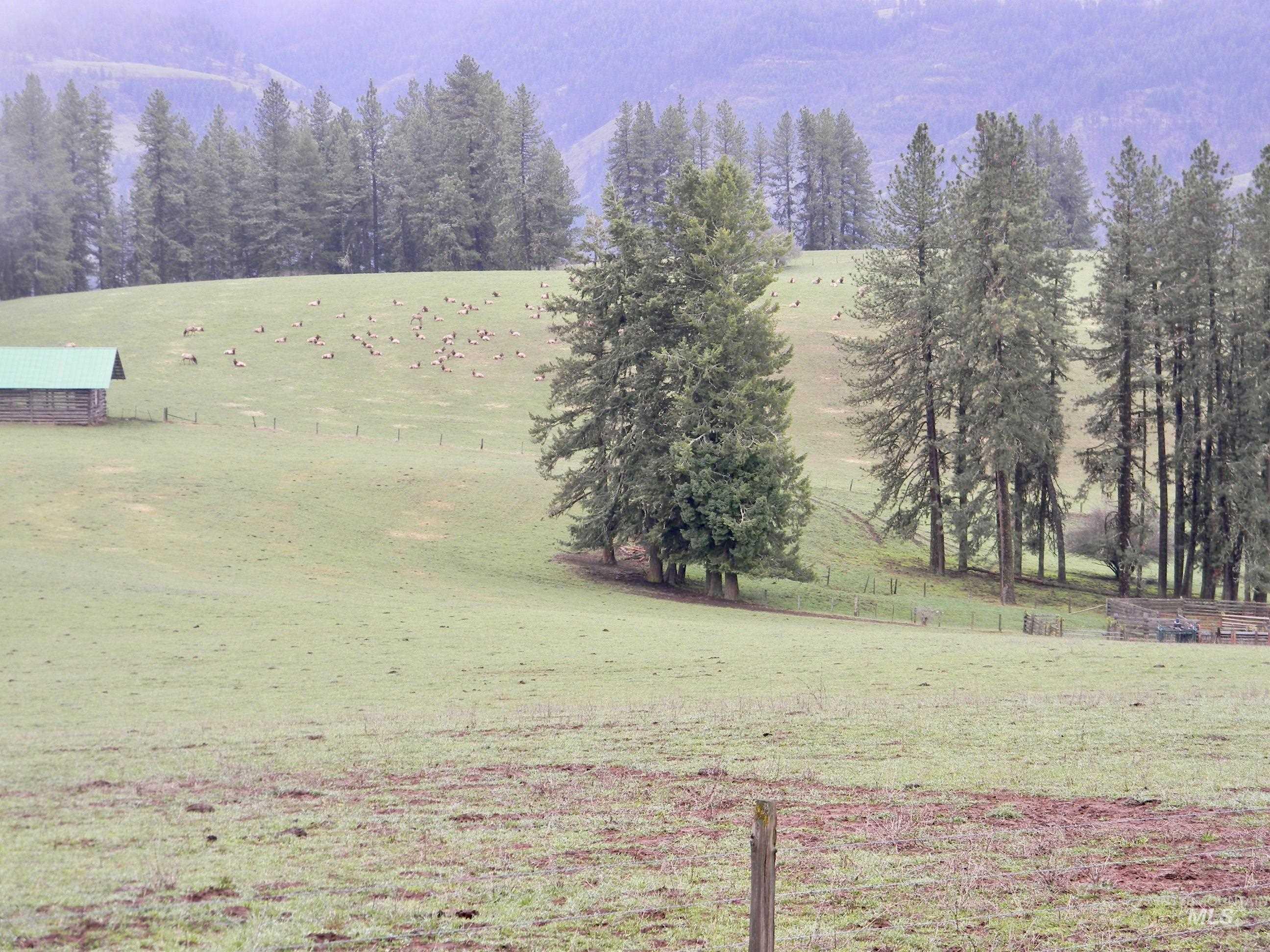 151 151 Ranta Rd, Kooskia, Idaho 83539, 4 Bedrooms, 5 Bathrooms, Farm & Ranch For Sale, Price $7,400,000,MLS 98915858