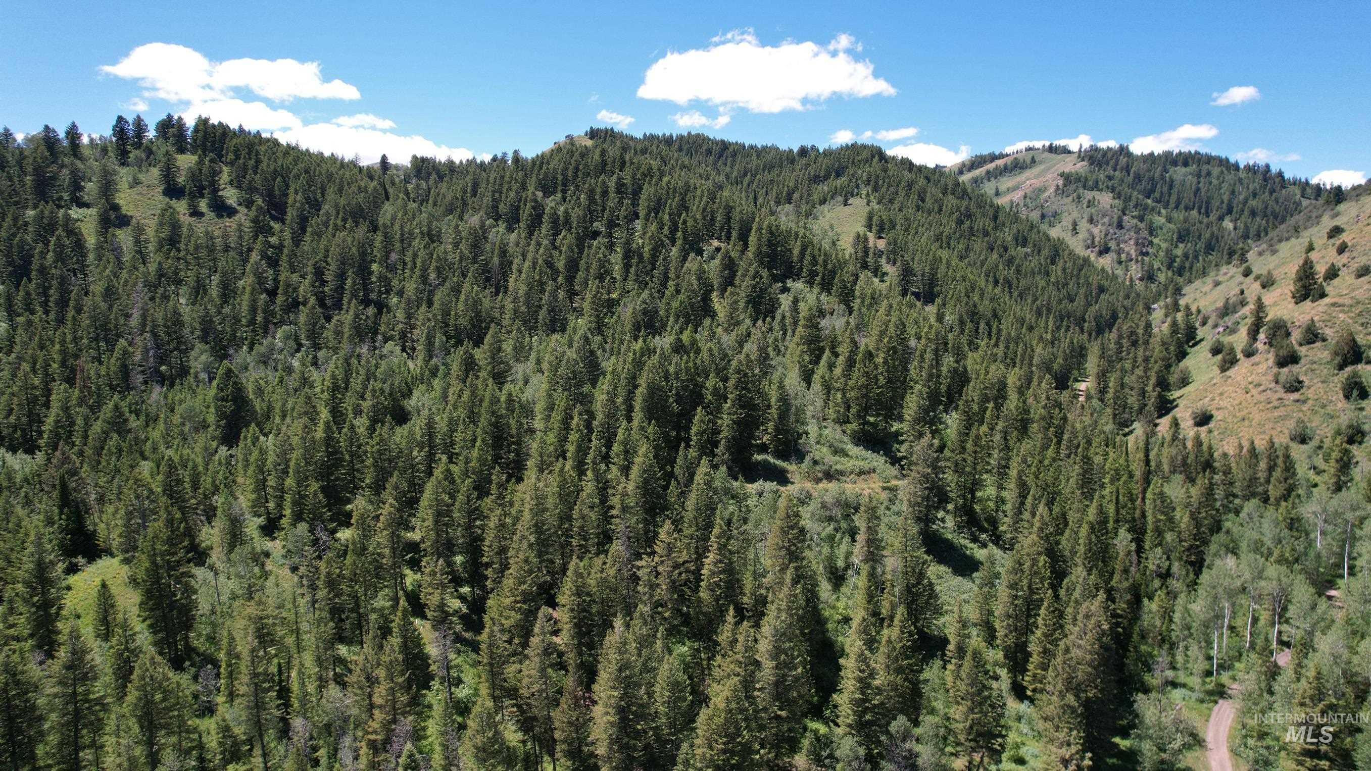 TBD Bull Canyon Road, Rockland, Idaho 83271, Land For Sale, Price $2,675,000,MLS 98916408