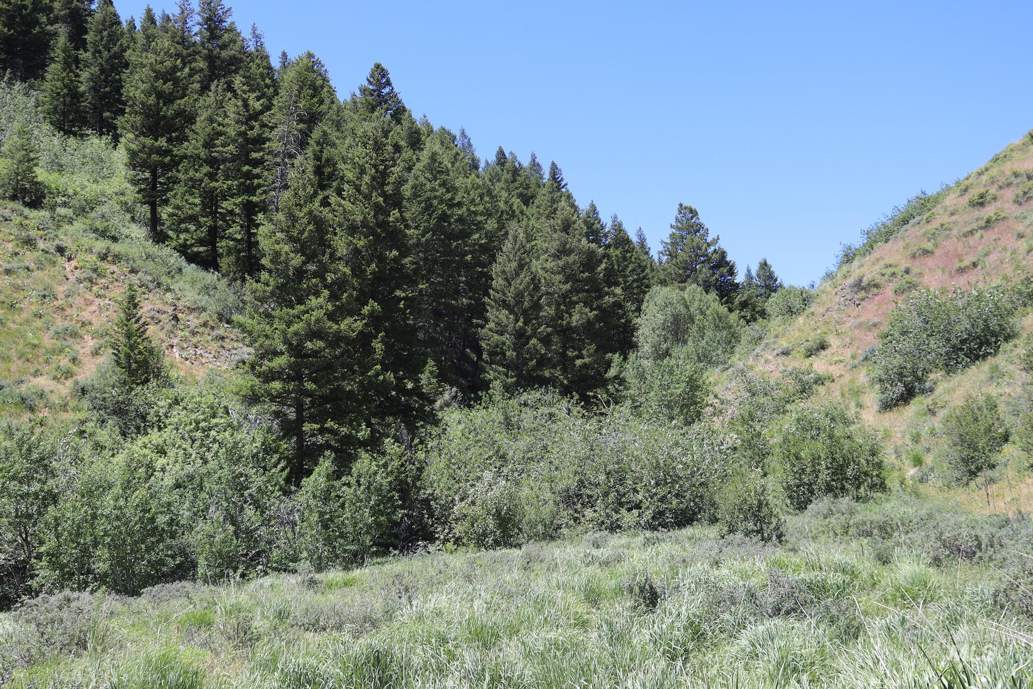 TBD Bull Canyon Road, Rockland, Idaho 83271, Land For Sale, Price $2,675,000,MLS 98916408