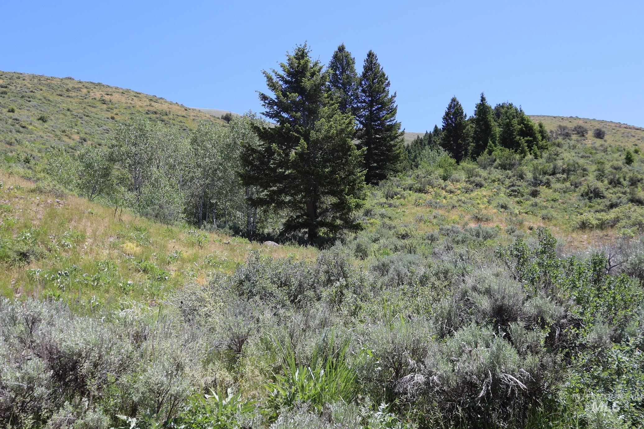 TBD Bull Canyon Road, Rockland, Idaho 83271, Land For Sale, Price $2,675,000,MLS 98916408