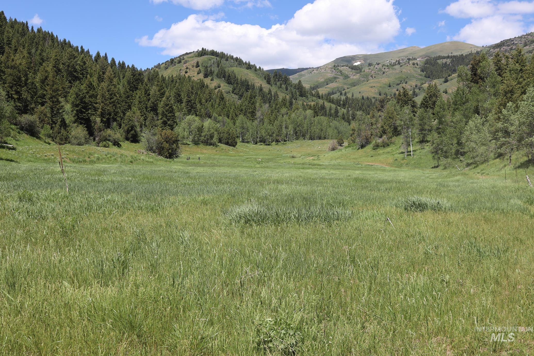 TBD Bull Canyon Road, Rockland, Idaho 83271, Land For Sale, Price $2,675,000,MLS 98916408