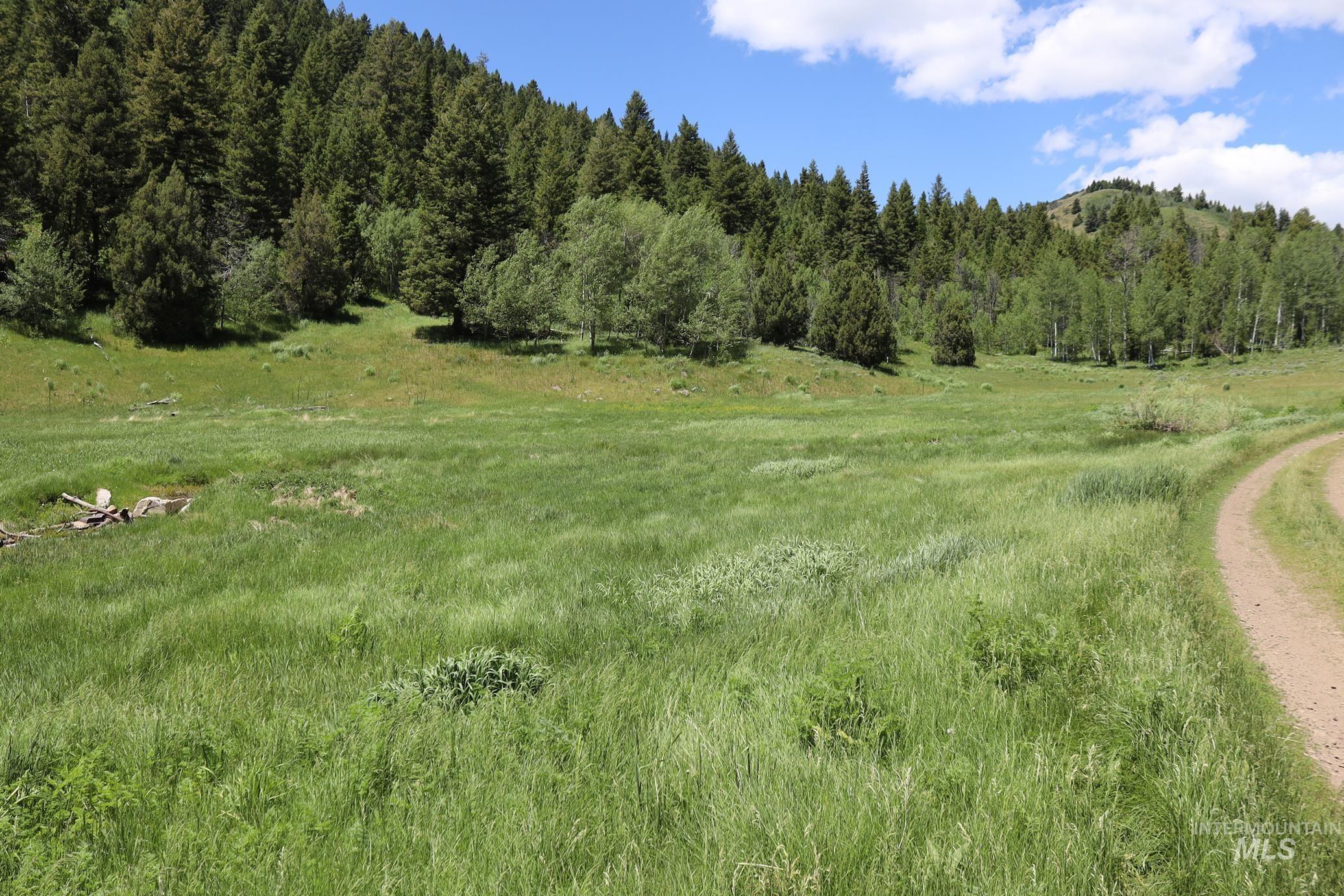 TBD Bull Canyon Road, Rockland, Idaho 83271, Land For Sale, Price $2,675,000,MLS 98916408