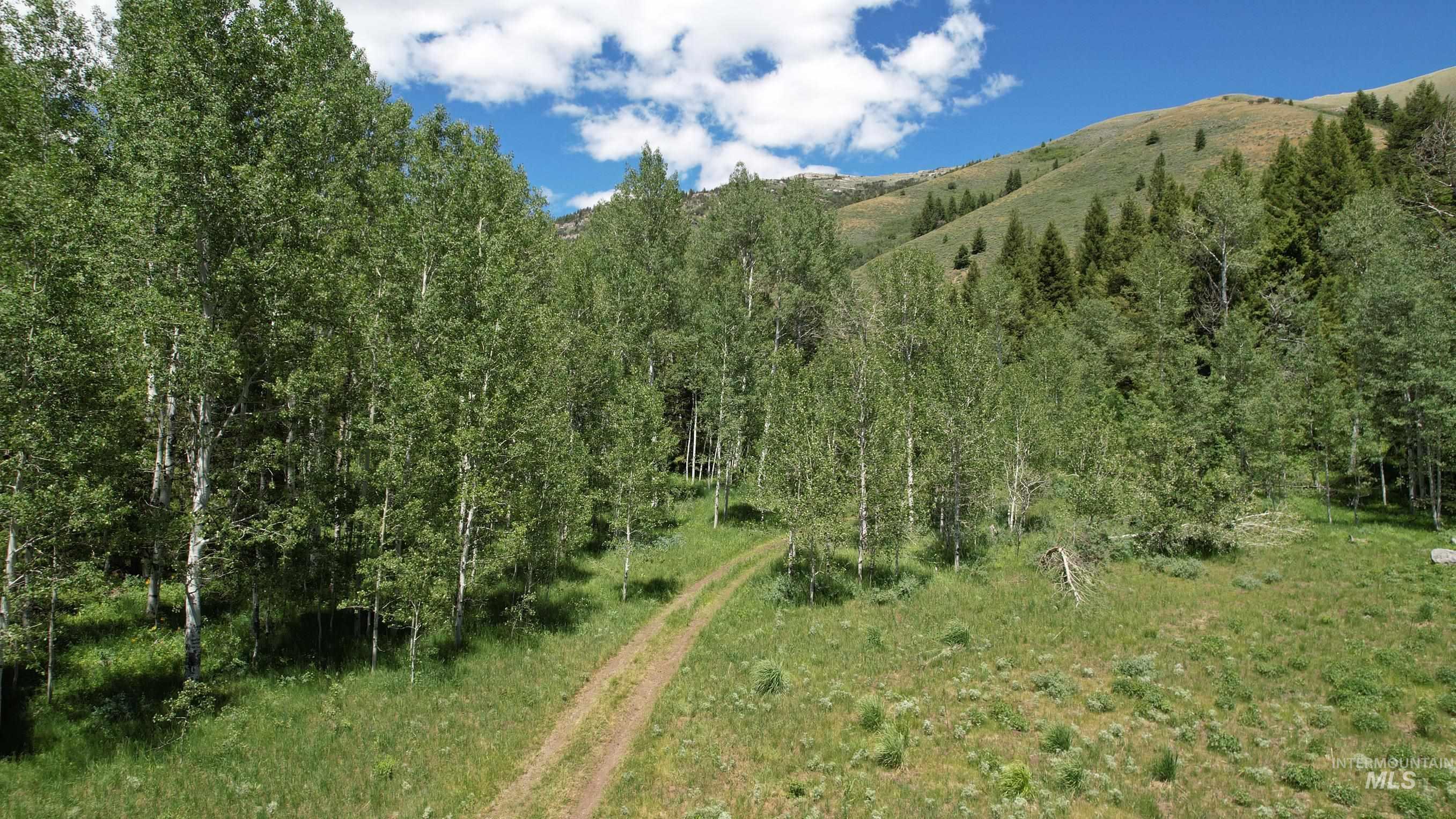 TBD Bull Canyon Road, Rockland, Idaho 83271, Land For Sale, Price $2,675,000,MLS 98916408