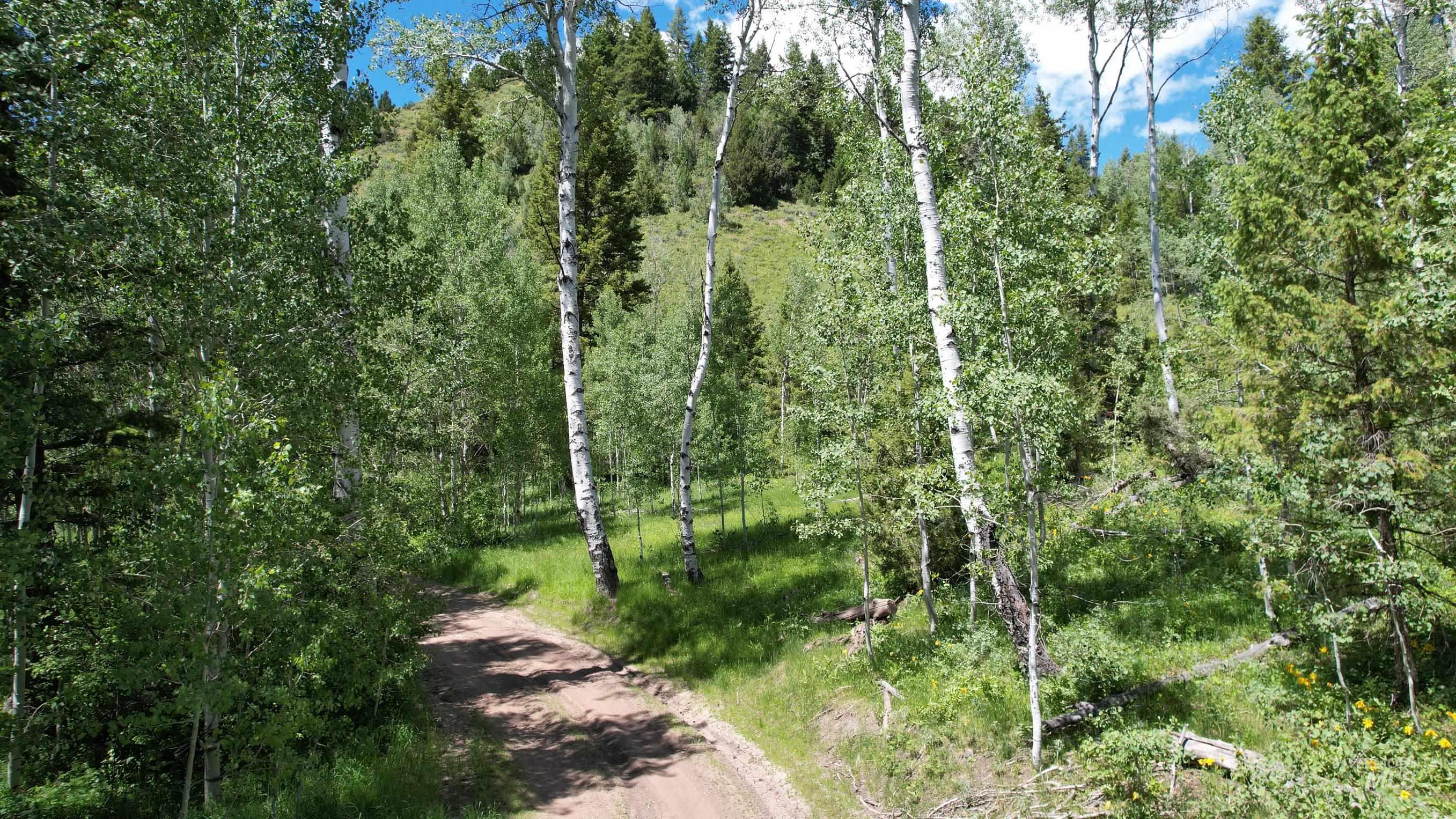 TBD Bull Canyon Road, Rockland, Idaho 83271, Land For Sale, Price $2,675,000,MLS 98916408