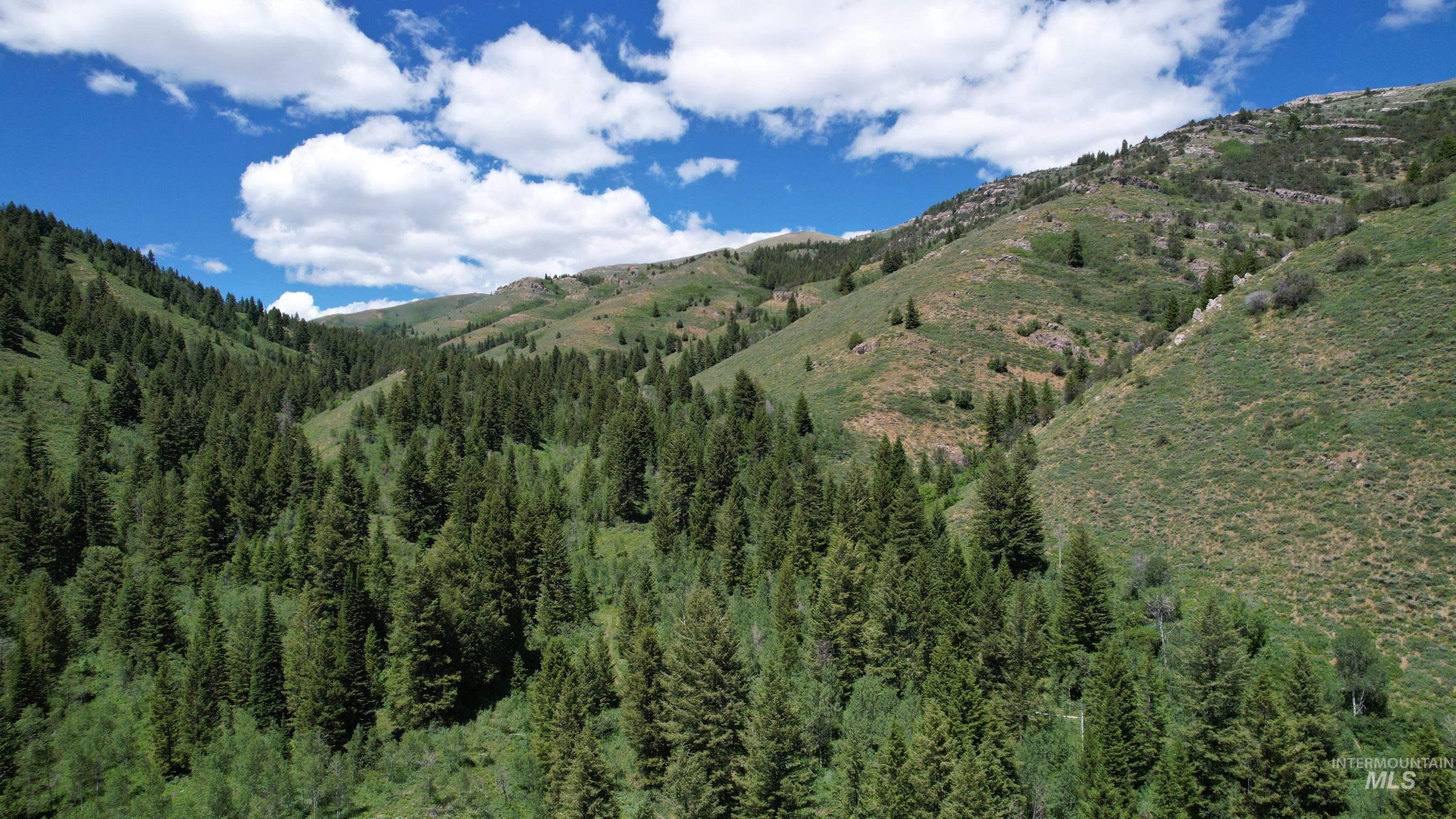 TBD Bull Canyon Road, Rockland, Idaho 83271, Land For Sale, Price $2,675,000,MLS 98916408