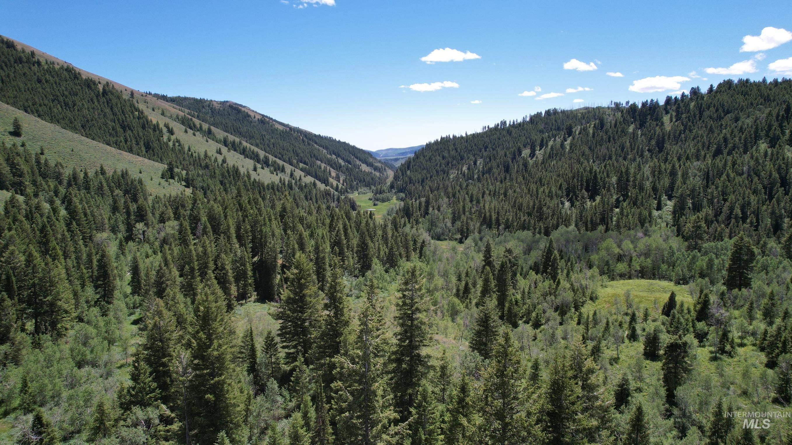 TBD Bull Canyon Road, Rockland, Idaho 83271, Land For Sale, Price $2,675,000,MLS 98916408