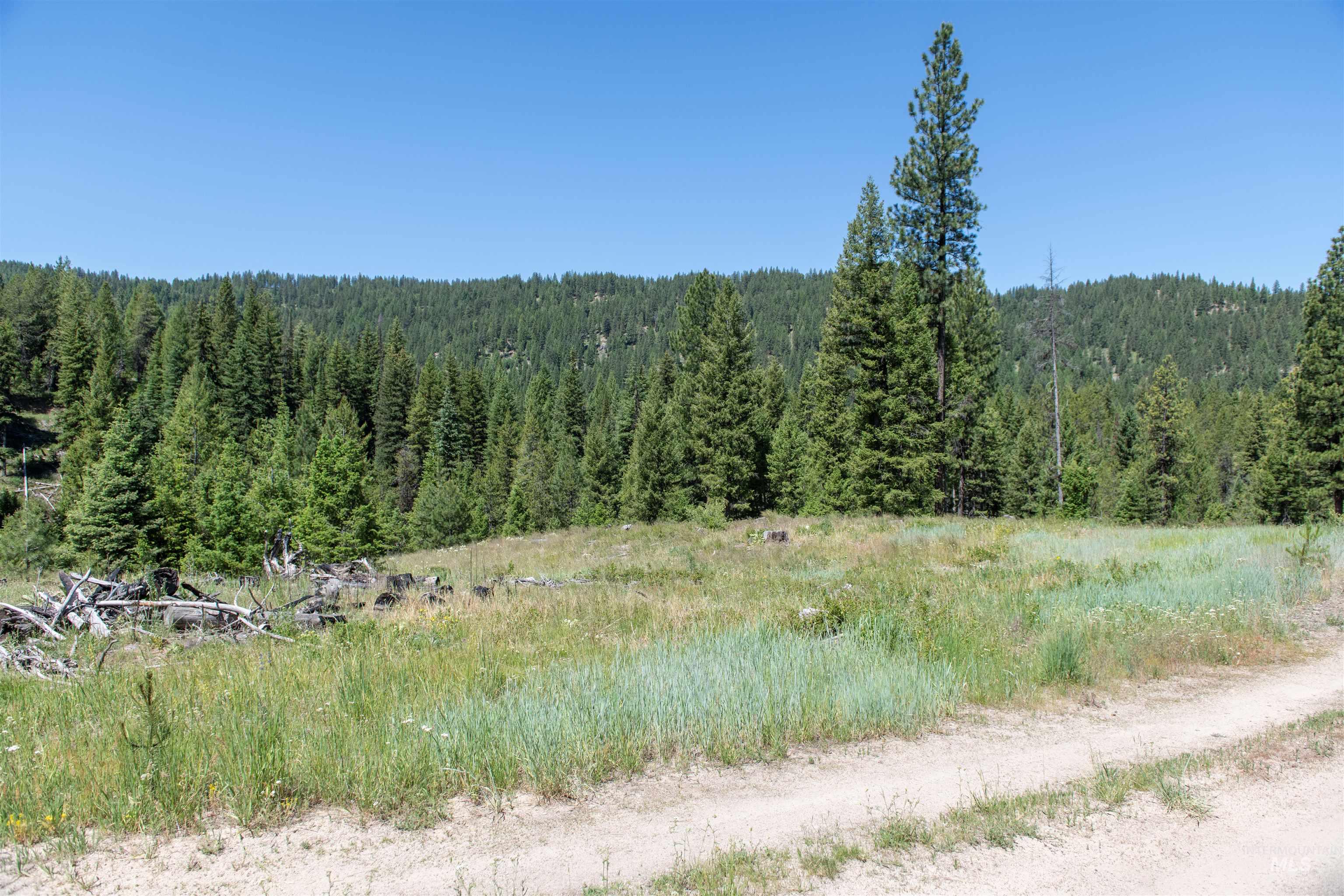 TBD 33 Clear Creek Road, Cascade, Idaho 83611, Land For Sale, Price $250,325,MLS 98916723