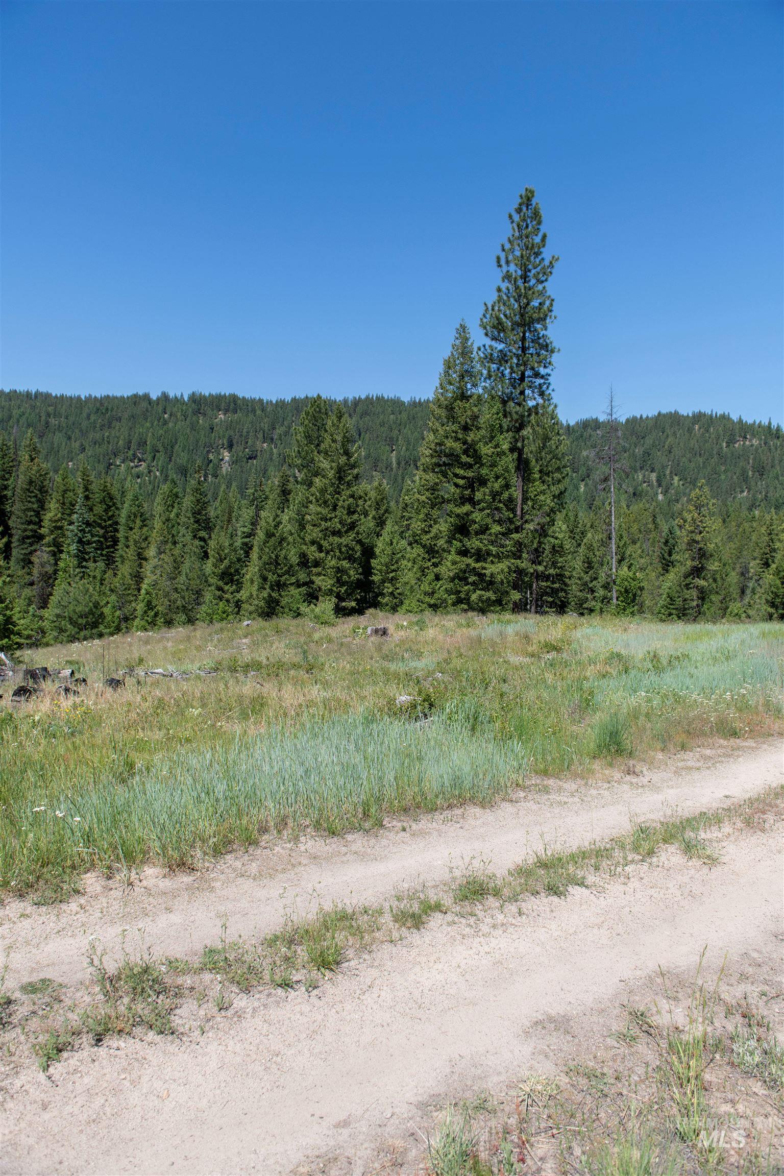 TBD 33 Clear Creek Road, Cascade, Idaho 83611, Land For Sale, Price $250,325,MLS 98916723