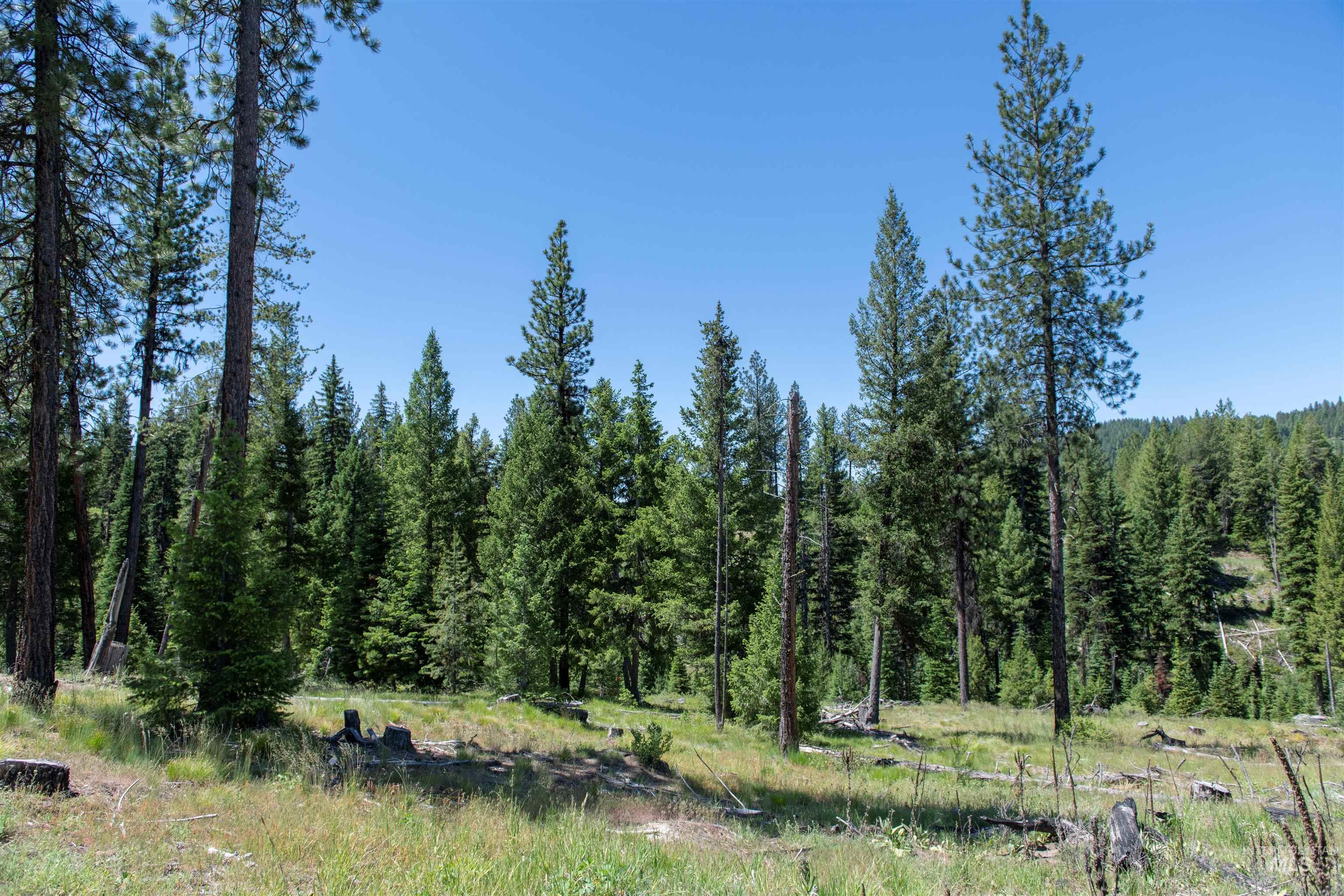 TBD 33 Clear Creek Road, Cascade, Idaho 83611, Land For Sale, Price $250,325,MLS 98916723