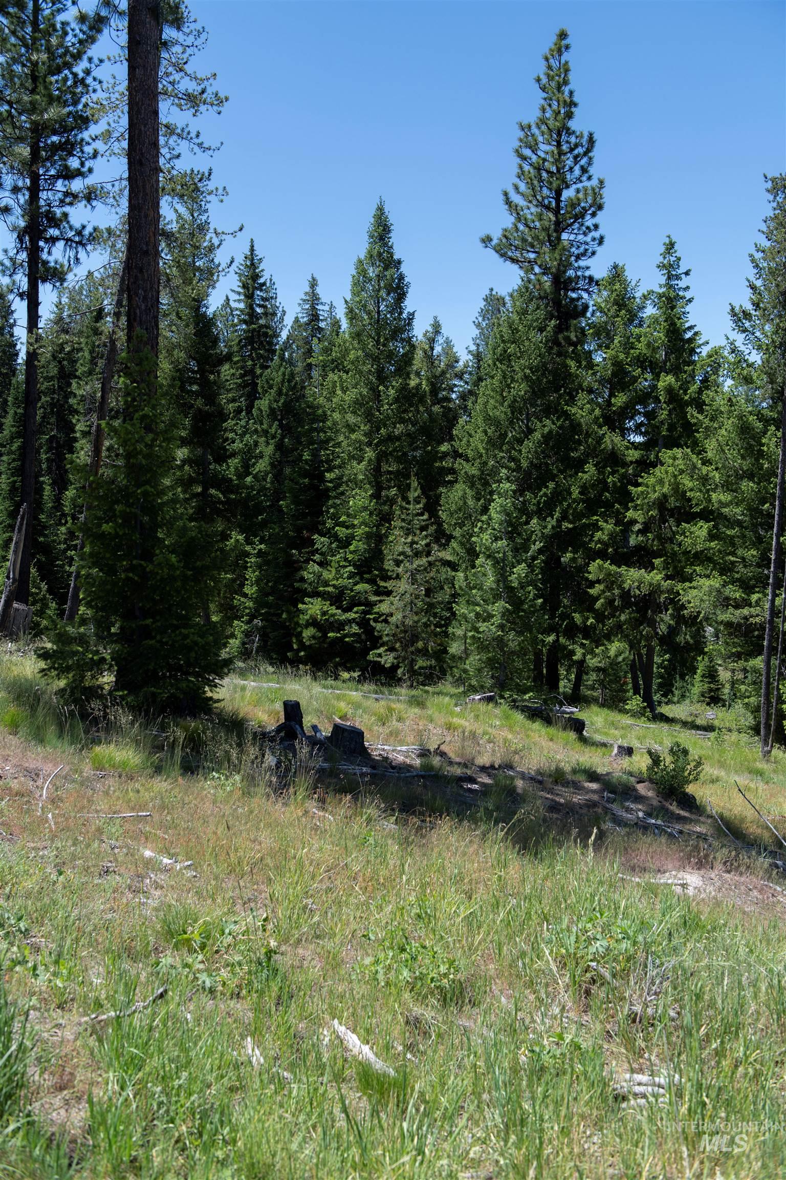 TBD 33 Clear Creek Road, Cascade, Idaho 83611, Land For Sale, Price $250,325,MLS 98916723
