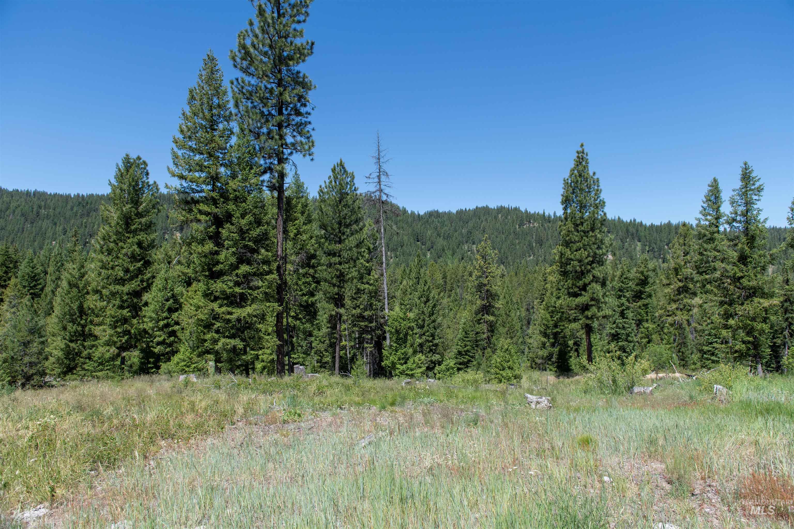 TBD 33 Clear Creek Road, Cascade, Idaho 83611, Land For Sale, Price $250,325,MLS 98916723